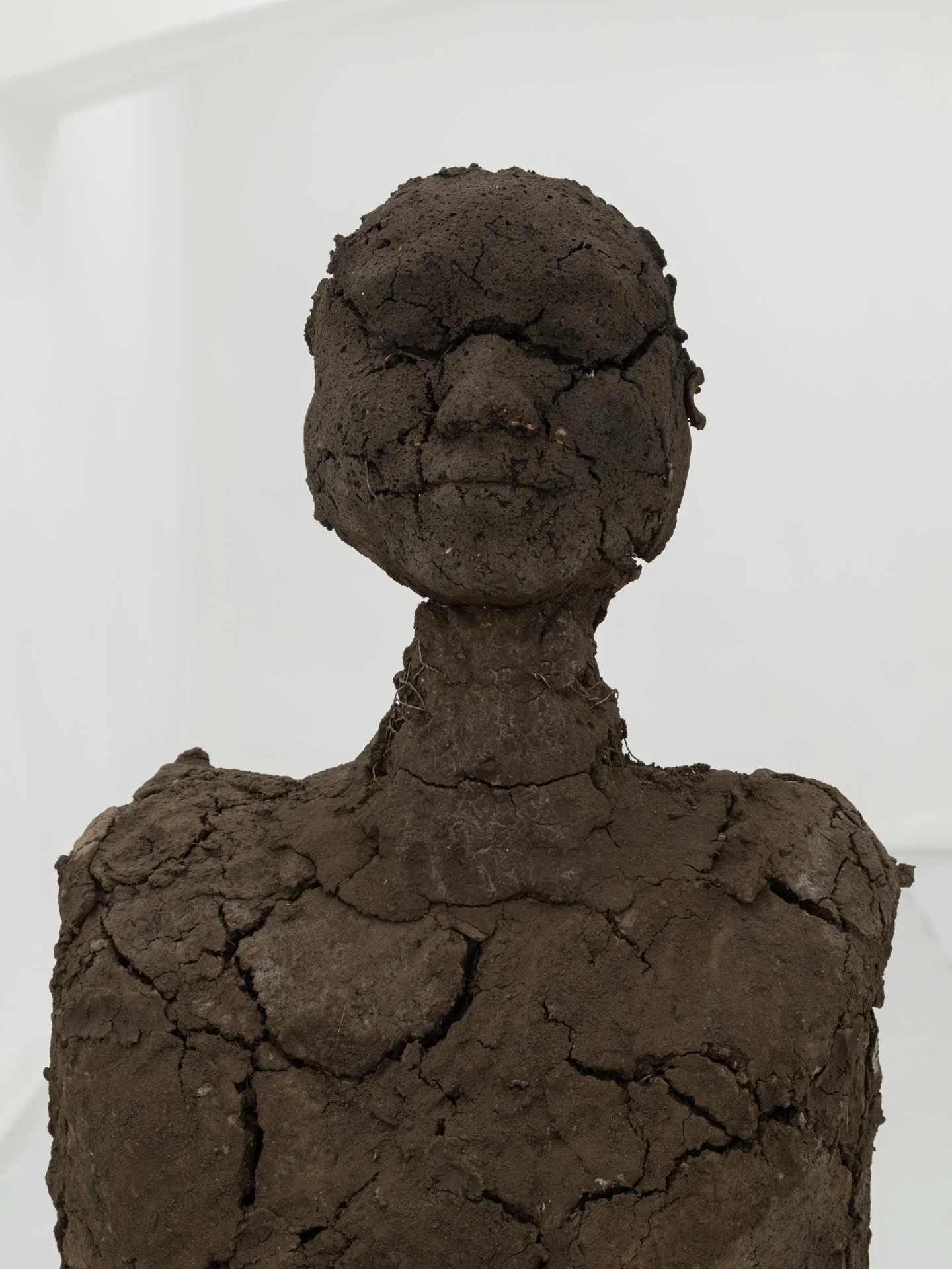 Kiyan Williams,  Sentient Ruin 1 , 2022 (detail)