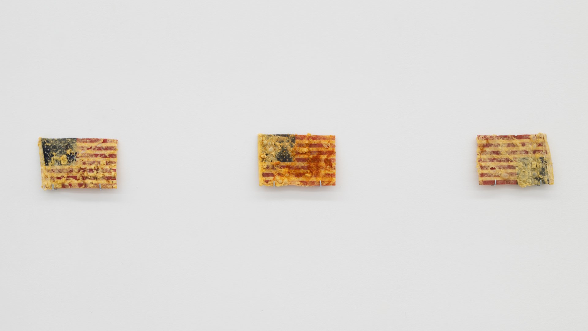 Kiyan Williams,  Un/earthing ,  Installation View at Lyles & King, 2022