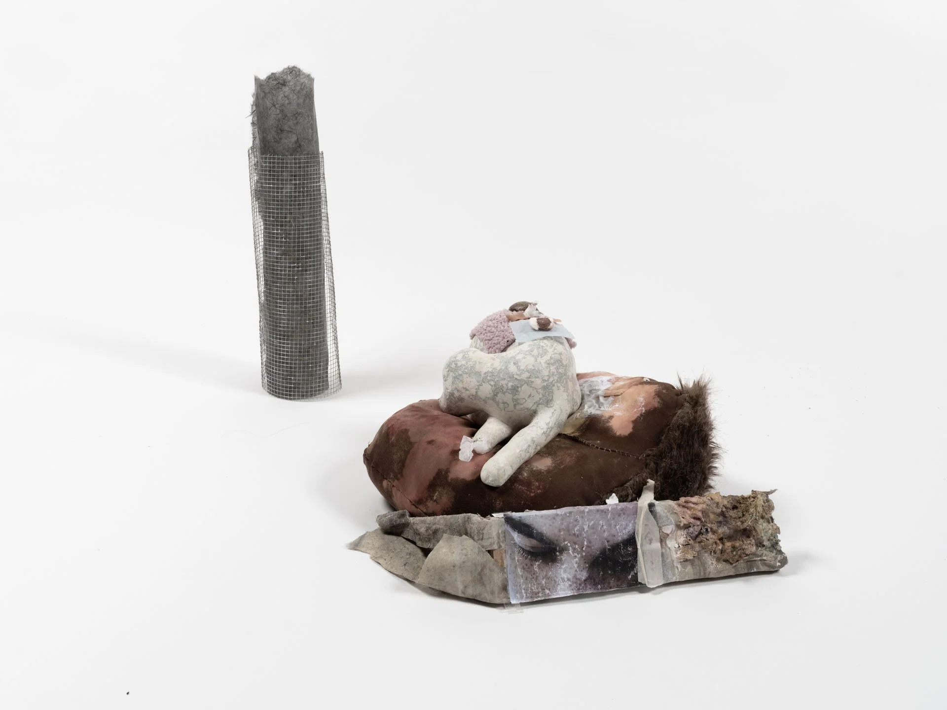 Catalina Ouyang
  Pity , 2023
 Papier maché, plaster, textile, bleach, dye, wire mesh, paper, shellac, wood, pigment, digital print, gauze, tape, blood, soapstone, and toothpaste
 21 x 24 x 28 inches, 53.3 x 61 x 71.1 cm