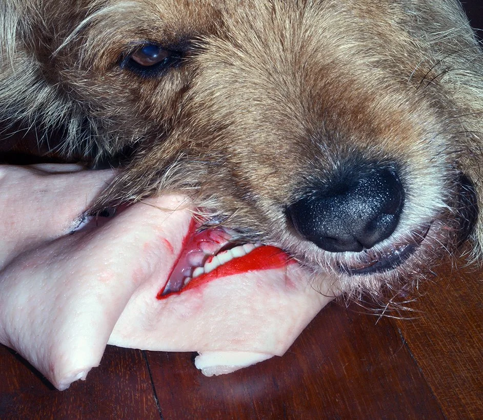   Selfie with Dog #02 , 2023 (detail)