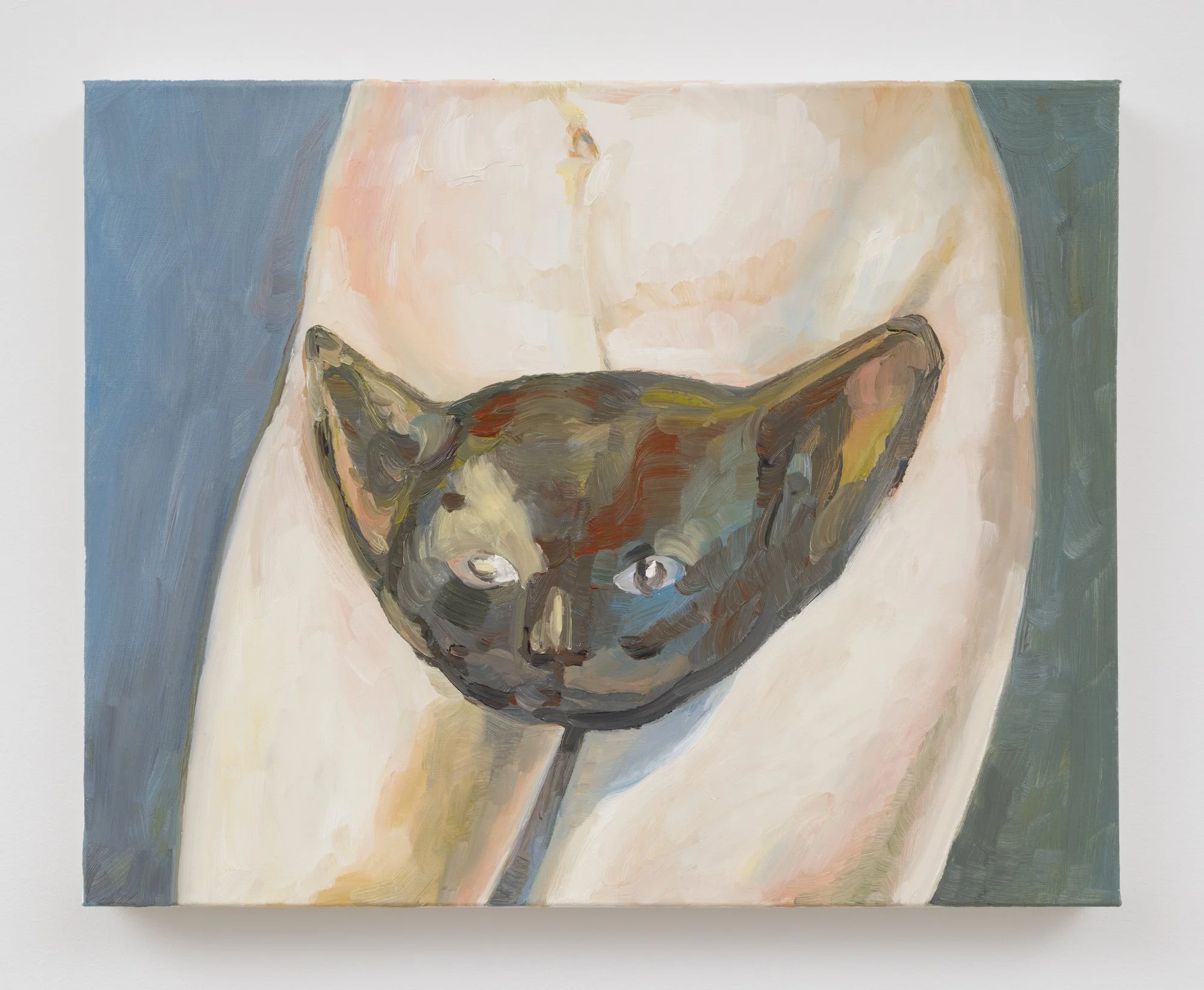 Xiao Hanqiu,  Kitty , 2022, Oil on canvas, 15 3/4 x 19 7/8 inches, 39.8 x 50.5 cm