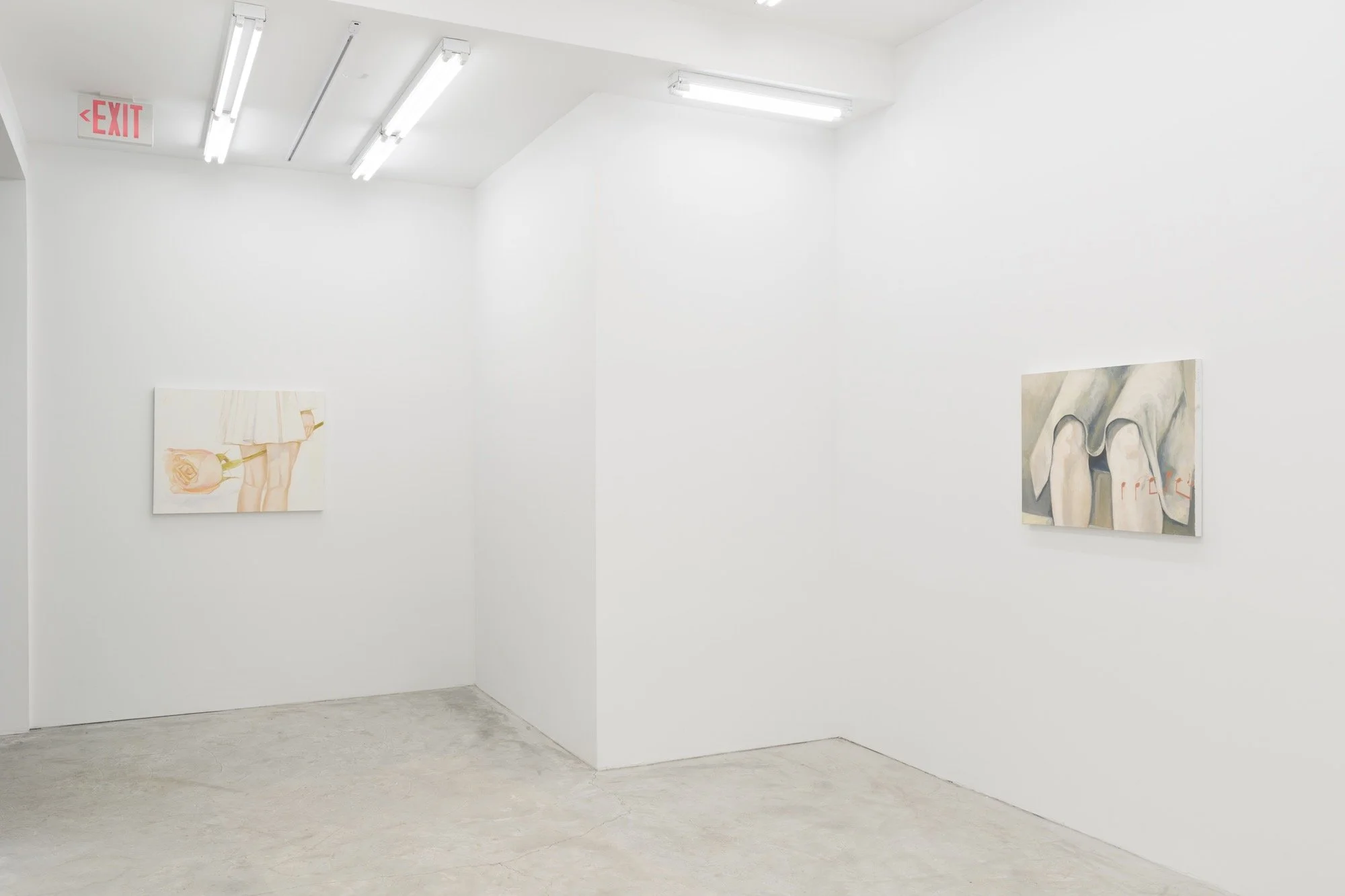 Xiao Hanqiu,  Love stories and horror stories , Installation View at Lyles & King, 2022