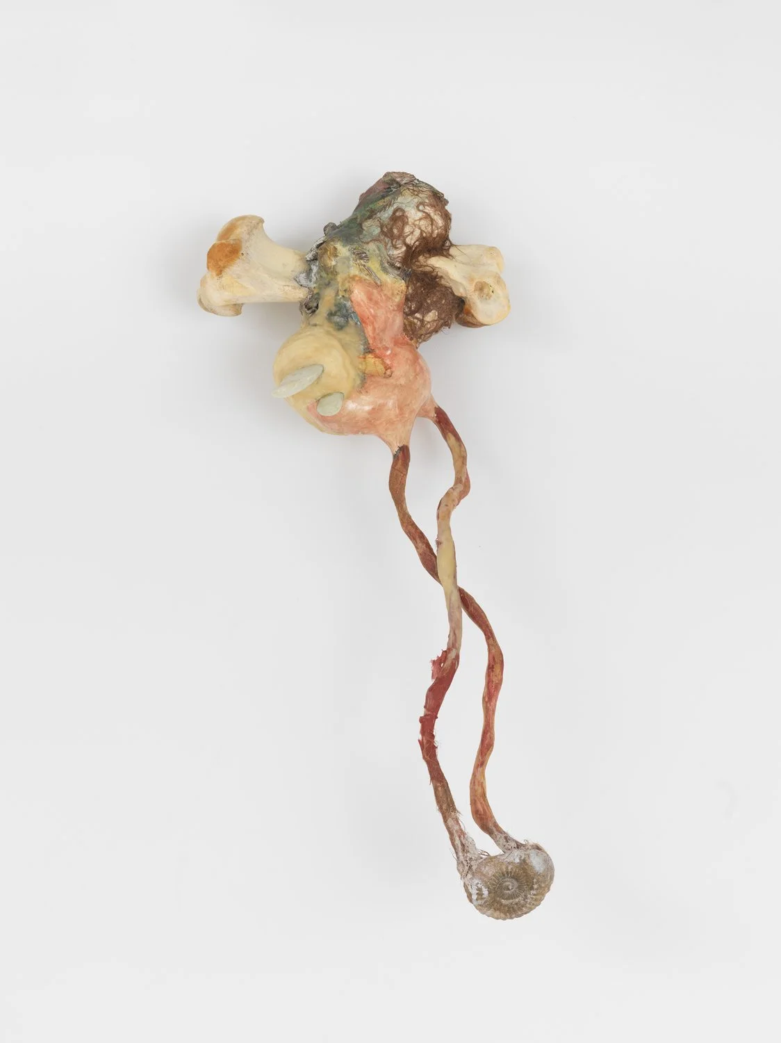  Cato Ouyang 
 it bears the traces if not the stigmata of its ancestry (Oriental Jane Doe) , 2020, horse tibia, lime plaster, gypsum plaster, fabric, pigment, shellac, beeswax, resin, wood, ammonite fossil, 30 x 16 x 11 inches, 76.2 x 40.6 x 27.9 cm.