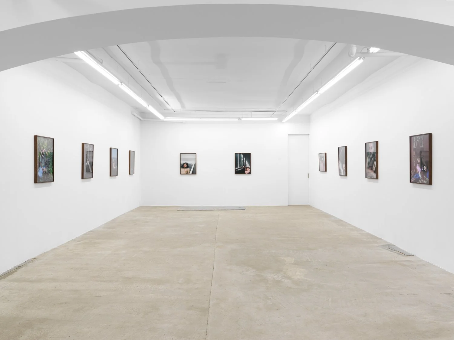 Installation view of  Aneta Grzeszykowska :  Daughter  at Lyles & King, New York