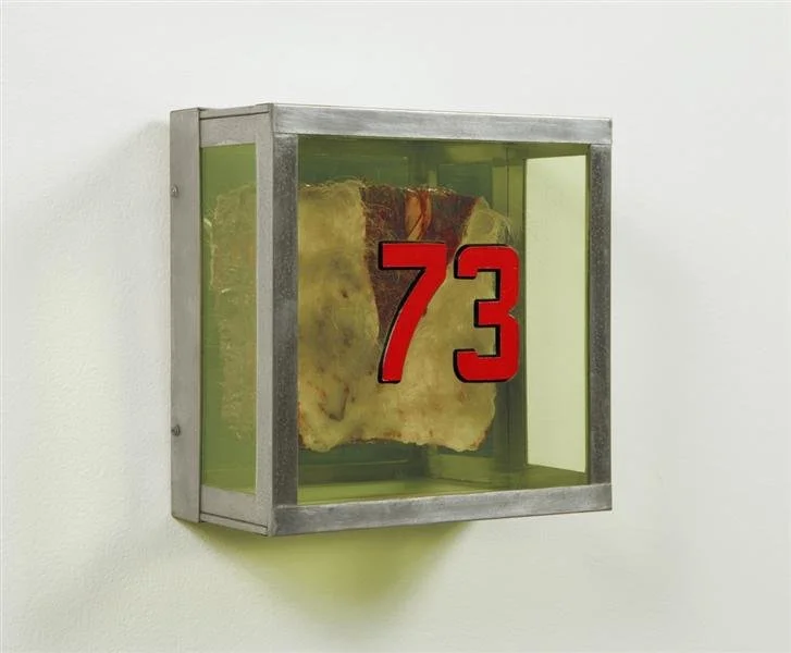 Paul Thek,  Untitles #73 (from the series 'Technological Reliquaries') , 1964, Beeswax, plexiglass, and metal, 9 3/8 x 9 1/4 x 5 in inches, 23.8 x 23.5 x 12.7 cm