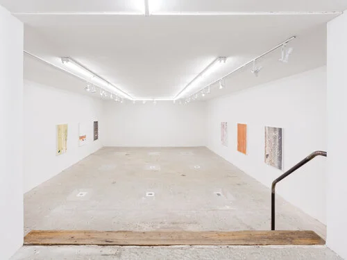 Jo-ey Tang & Thomas Fougeirol,  Animot , Instillation View at Lyles & King, New York, NY, February 16 - March 22, 2020