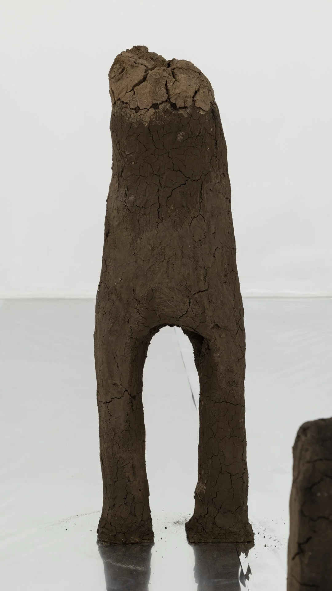 Kiyan Williams,  Sentient Ruin 4 , 2022
earth, binder, steel base and armature, 3 x 27 1/2 x 23 inches, 185.4 x 69.8 x 58.4 cm