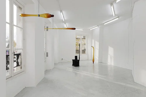 Jo-ey Tang,  Black door code 31A5 à gauche puis 2ème étage tout droit à gauche , Installation view at Galerie Joseph Tang (two-person exhibition with Carlos Reyes), Paris, FR, November 20 - December 10, 2016