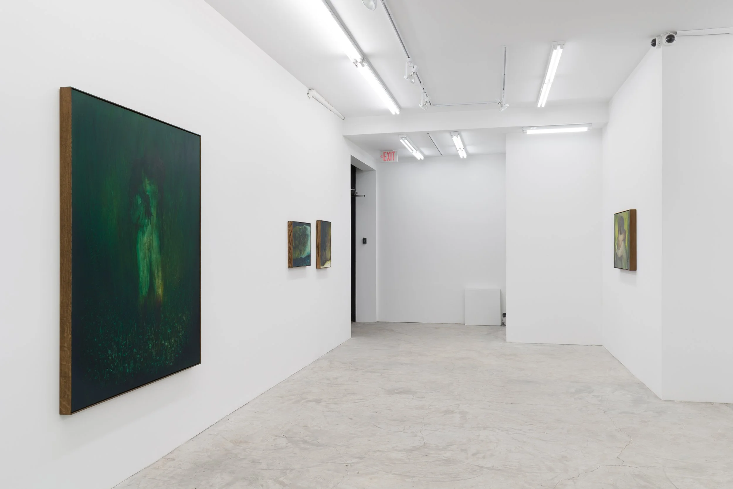 Xie Lei,  Victim , Installation View at Lyles & King, 2023