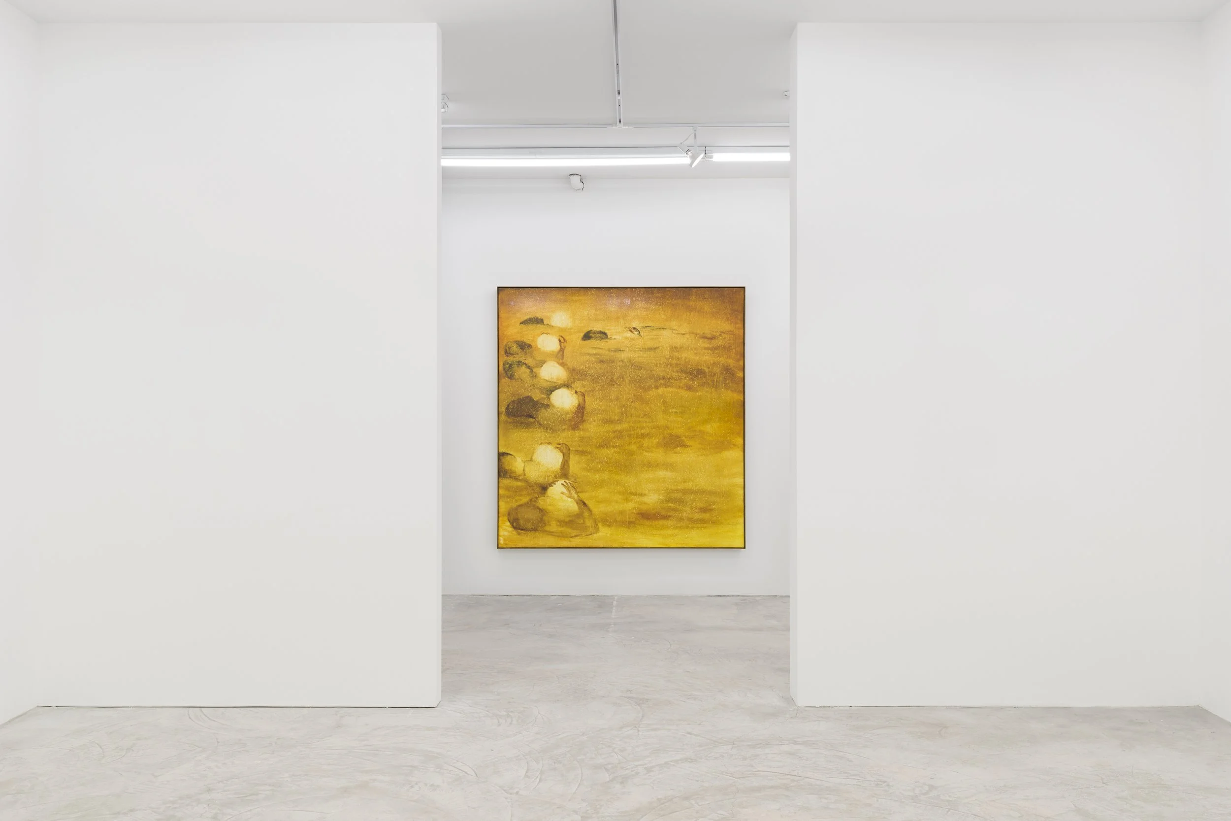 Xie Lei,  Victim , Installation View at Lyles & King, 2023