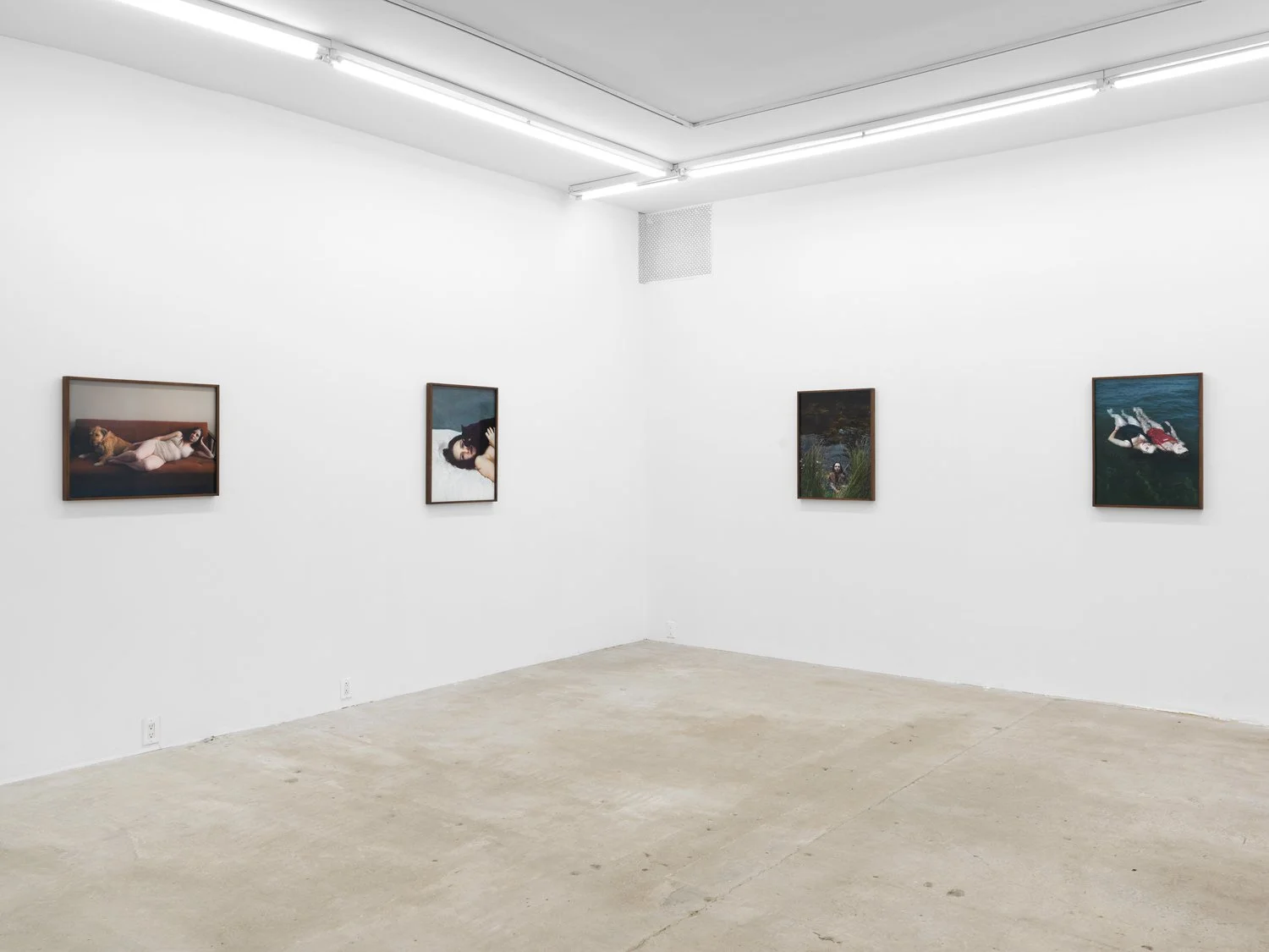Installation view of  Aneta Grzeszykowska :  Daughter  at Lyles & King, New York