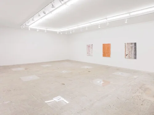 Jo-ey Tang & Thomas Fougeirol,  Animot , Instillation View at Lyles & King, New York, NY, February 16 - March 22, 2020