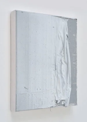 Thomas Fougeirol,  Skin Picture , 2015, Oil on canvas, 16 x 12 inches