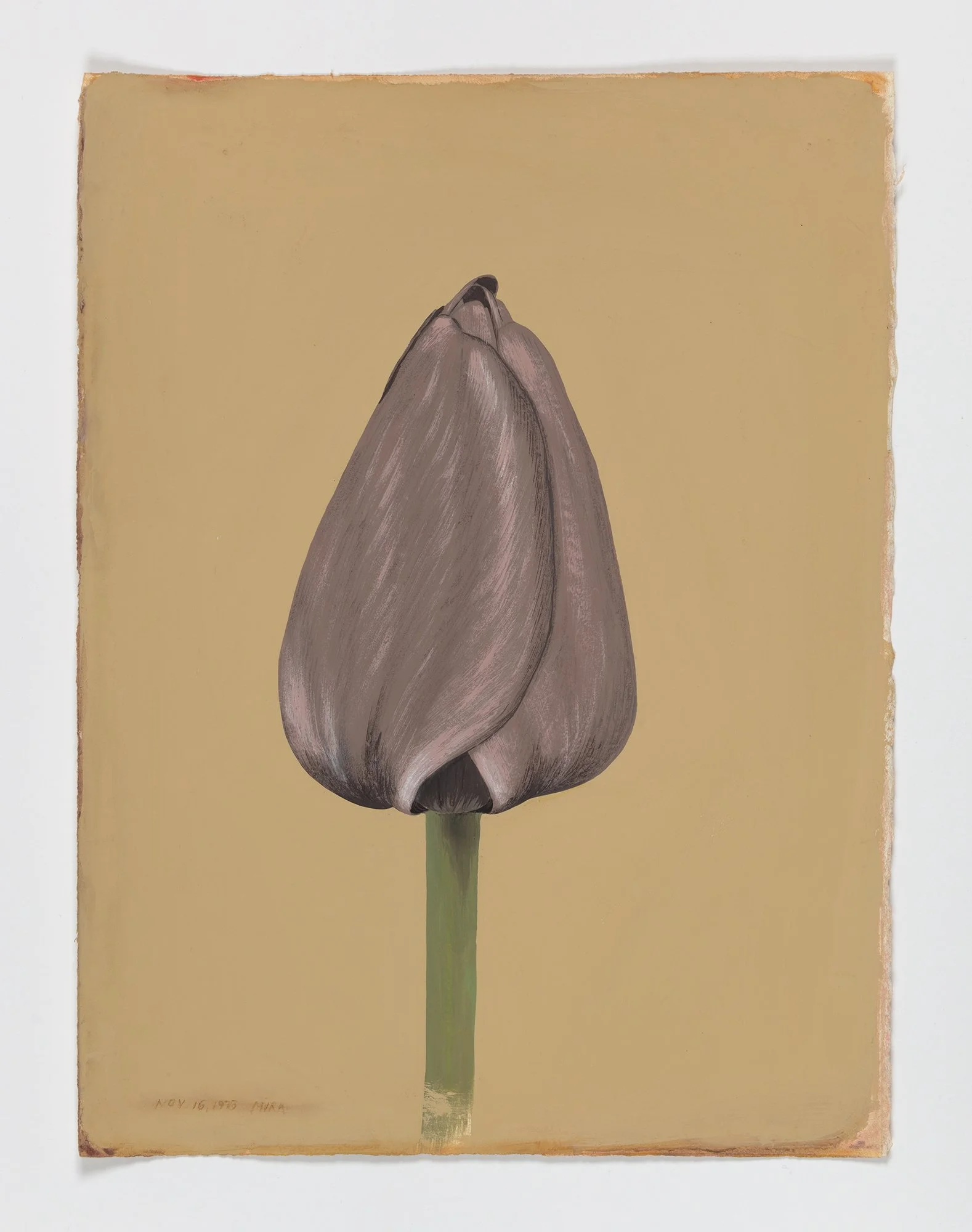 Mira Schor ,
 Flower , 1973,
gouache on paper,
11.25 x 15 inches,
28.6 x 38.1 cm.