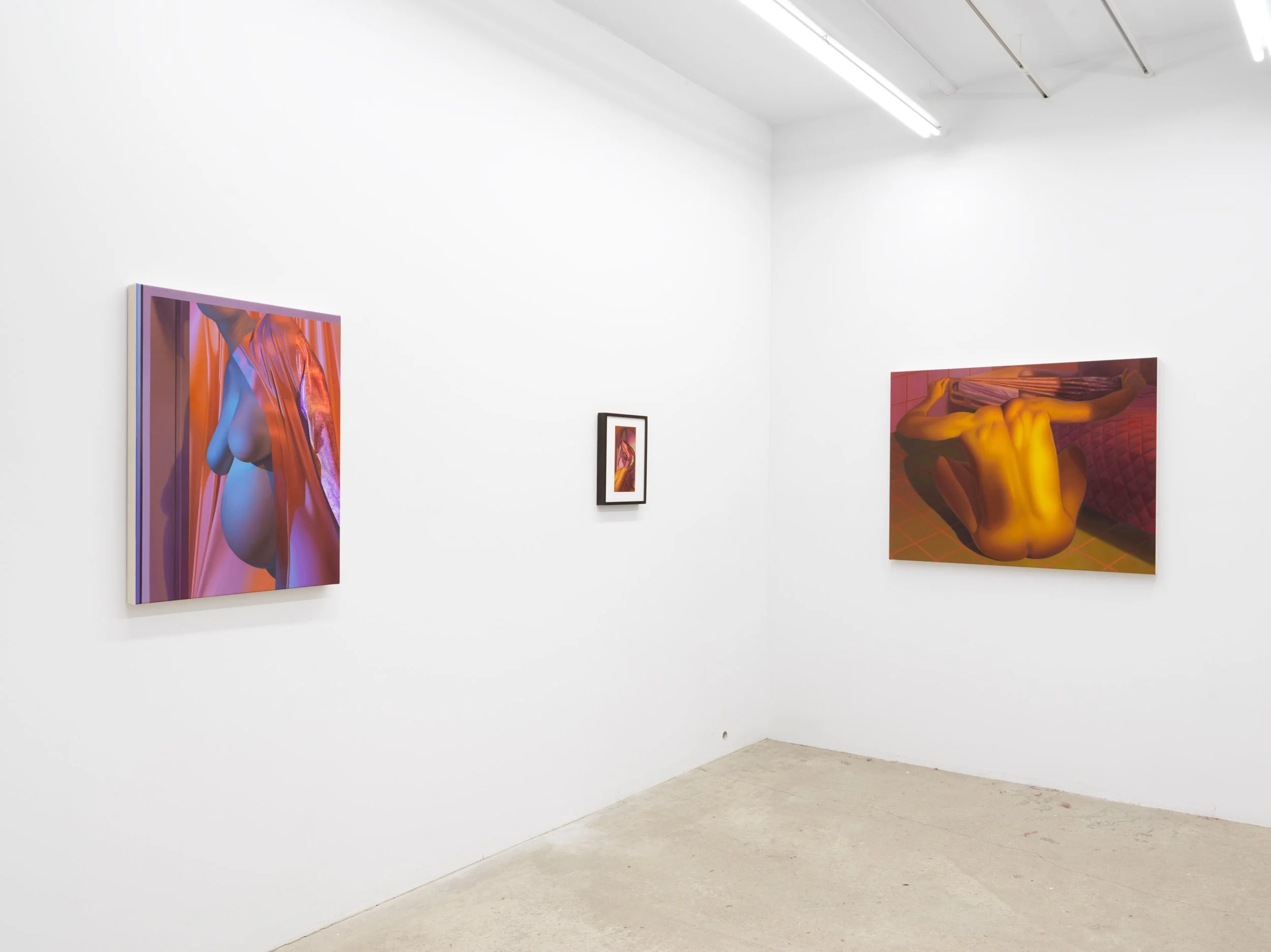Installation view of Kate Meissner  New Paintings  at Lyles & King, New York