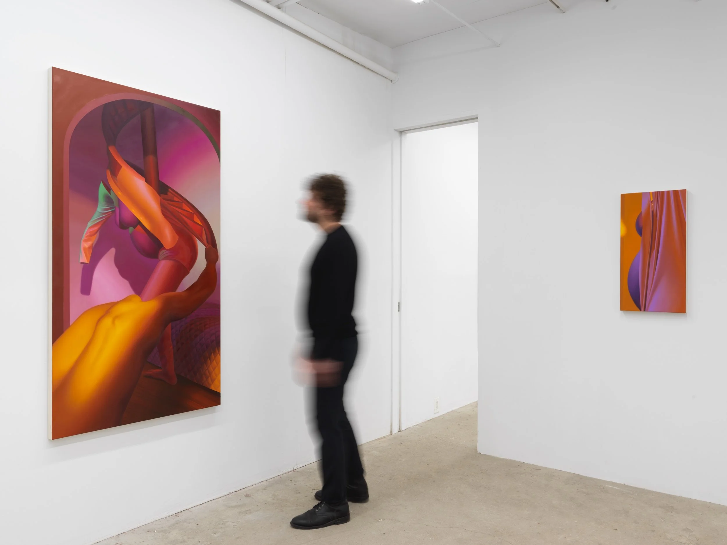 Installation view of Kate Meissner  New Paintings  at Lyles & King, New York