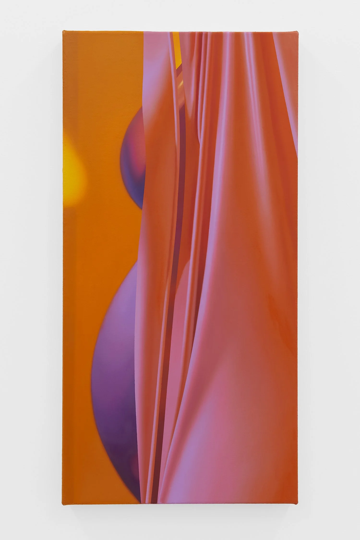  Kate Meissner 
 Hide , 2026,
Oil on canvas,
28 x 14 inches,
71.1 x 35.6 cm