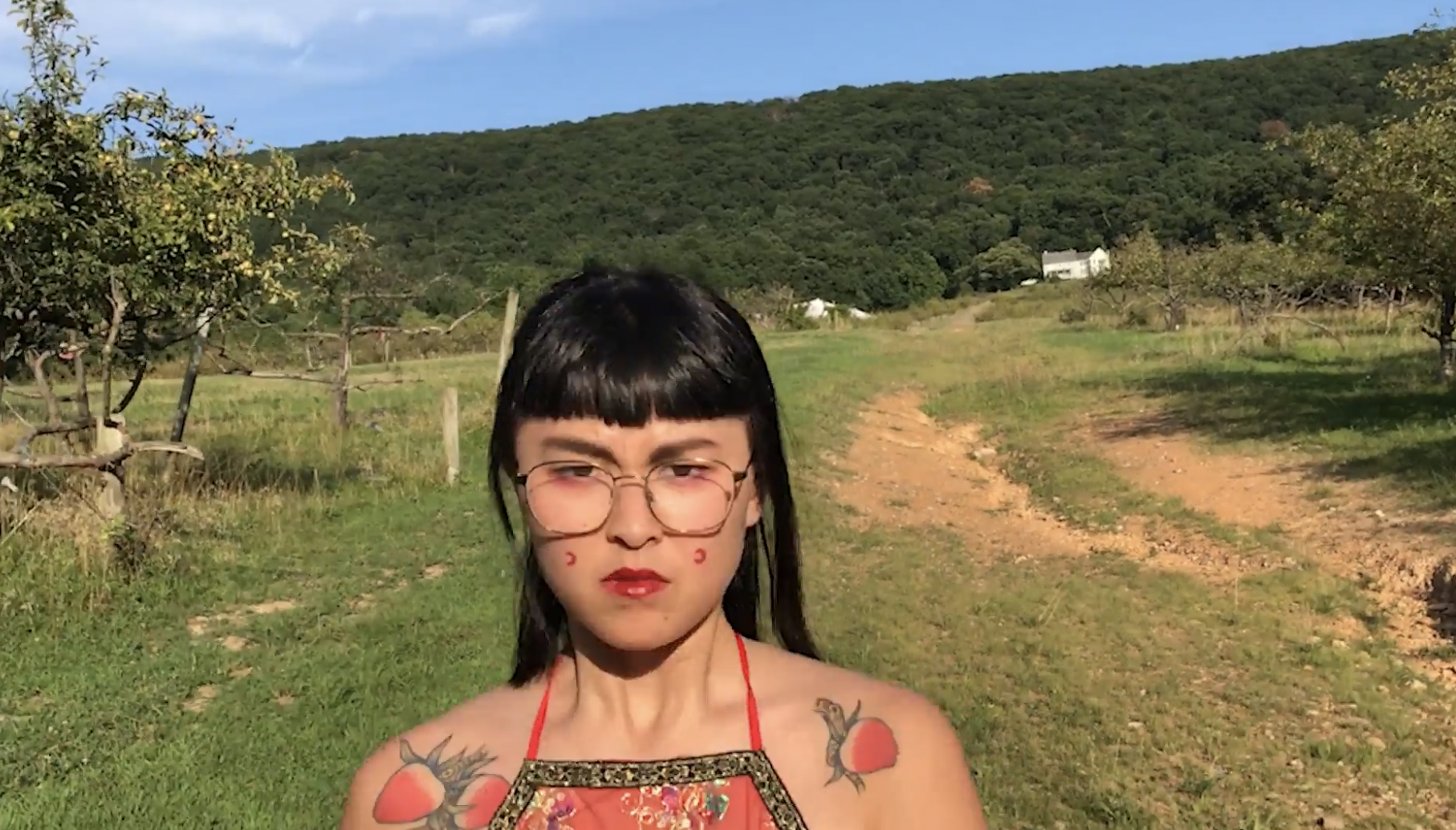  Cato Ouyang ,
 private collection , 2026,
single-channel video,
5:20 minutes,
Edition 1 of 3 + 2 AP