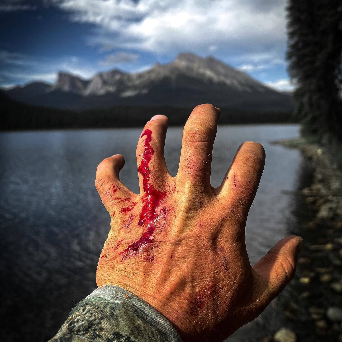 Apparently I believe hiking through the mountains is a full contact sport. 
.
.
.

#hunting #hunt #outdoors #hunter #deerhunting #fishing #huntingseason #nature #bowhunting #huntinglife #deer #jagd #chasse #jakt #archery #wildlife #photography #duckh