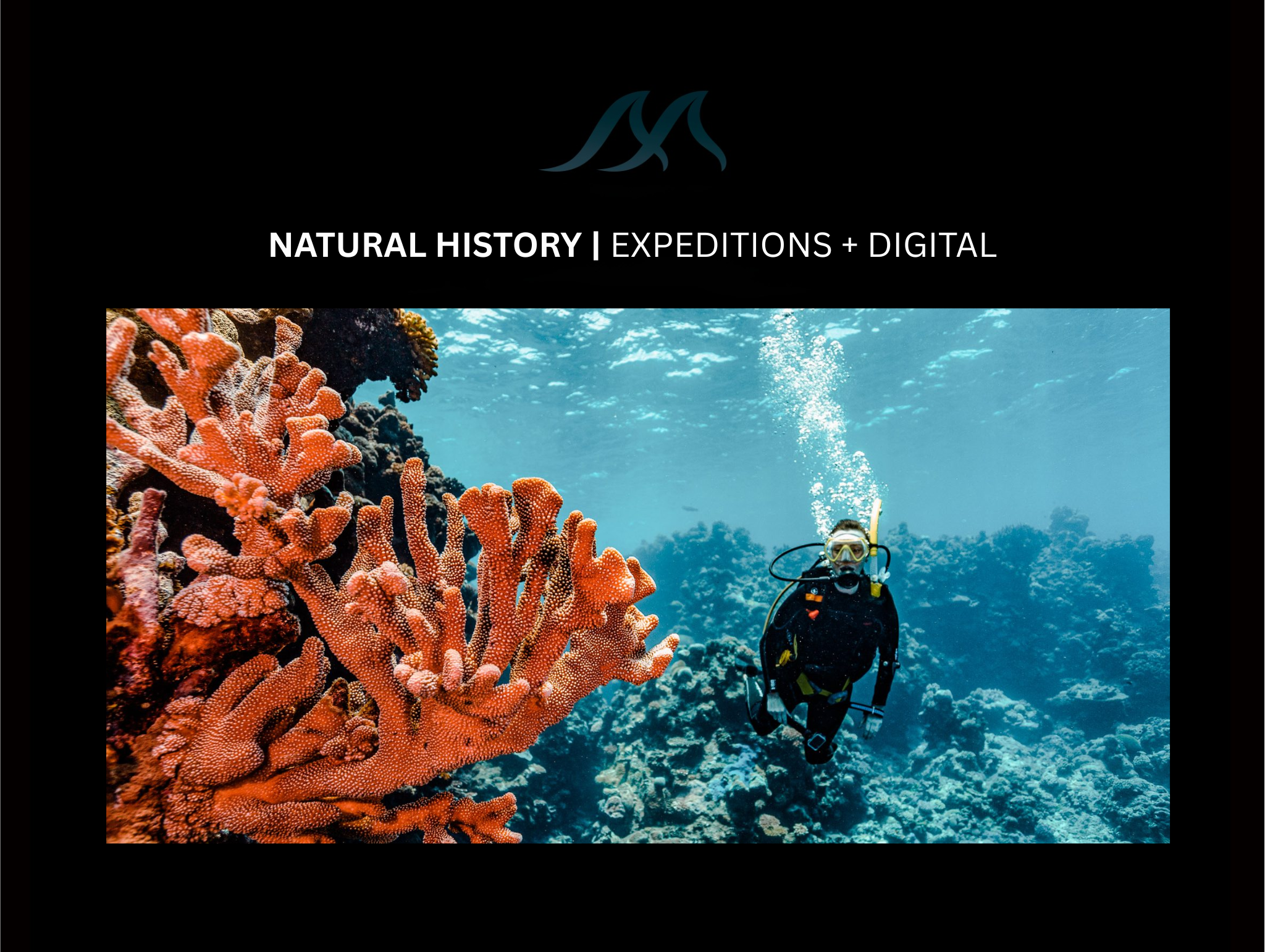 National Geographic Explorer, Shark Week and Conservation
