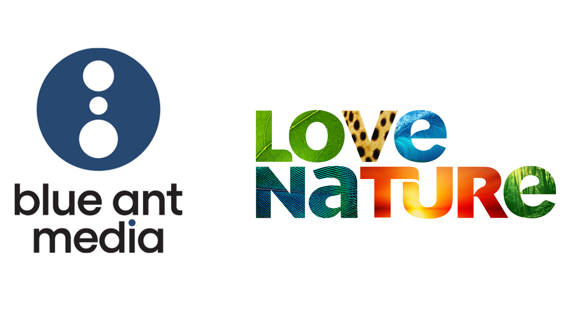 BAM and LN logo V2.png