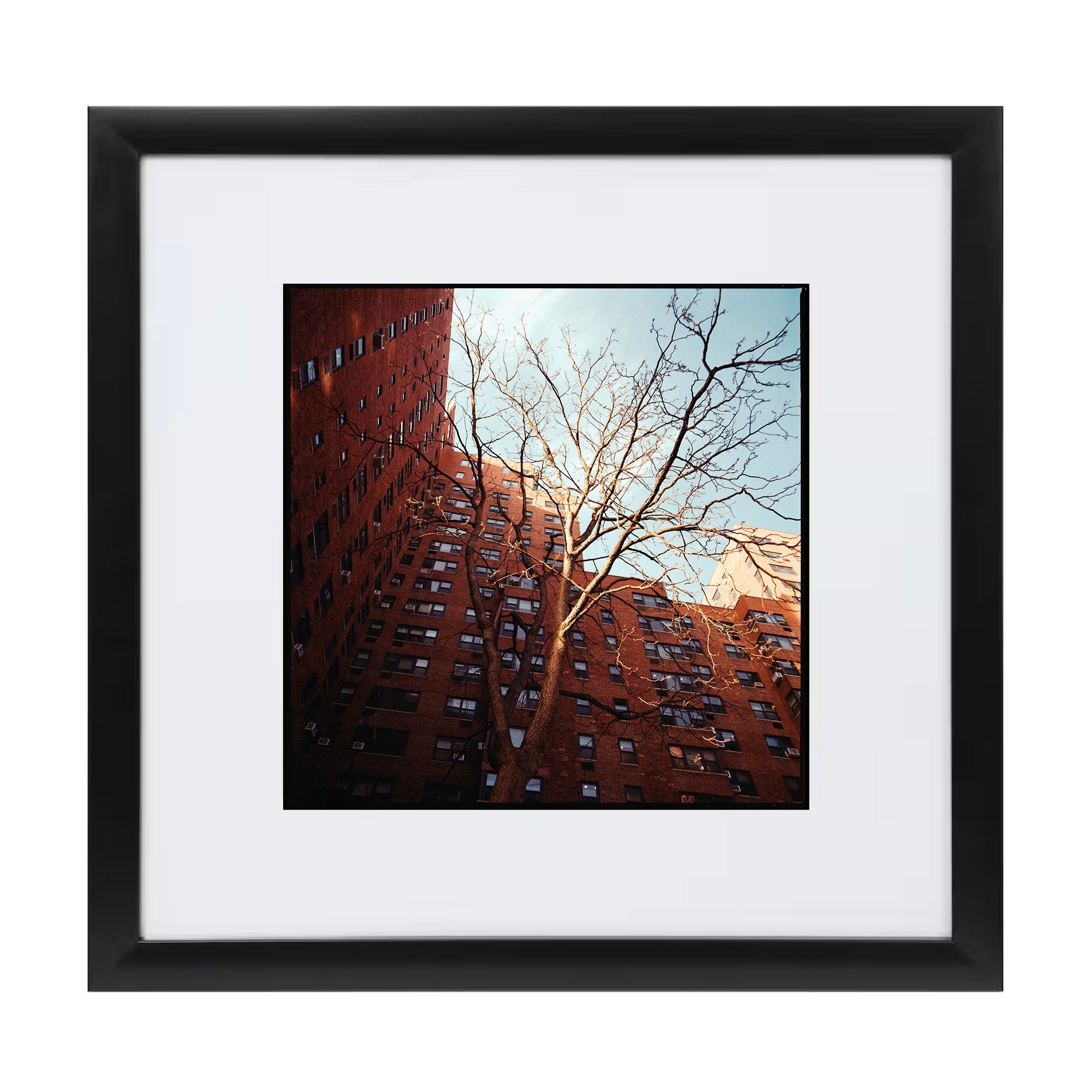 https://i.etsystatic.com/50767298/r/il/68df0c/5858691185/il_fullxfull.5858691185_2g1u.jpg