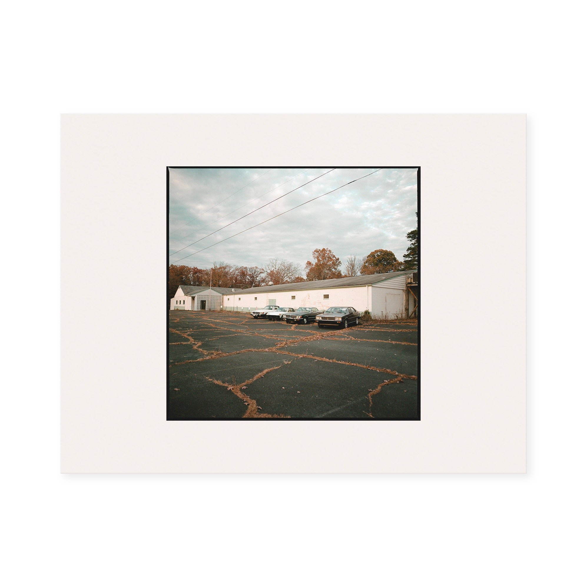 https://i.etsystatic.com/50767298/r/il/7c4320/5858634563/il_fullxfull.5858634563_hm46.jpg