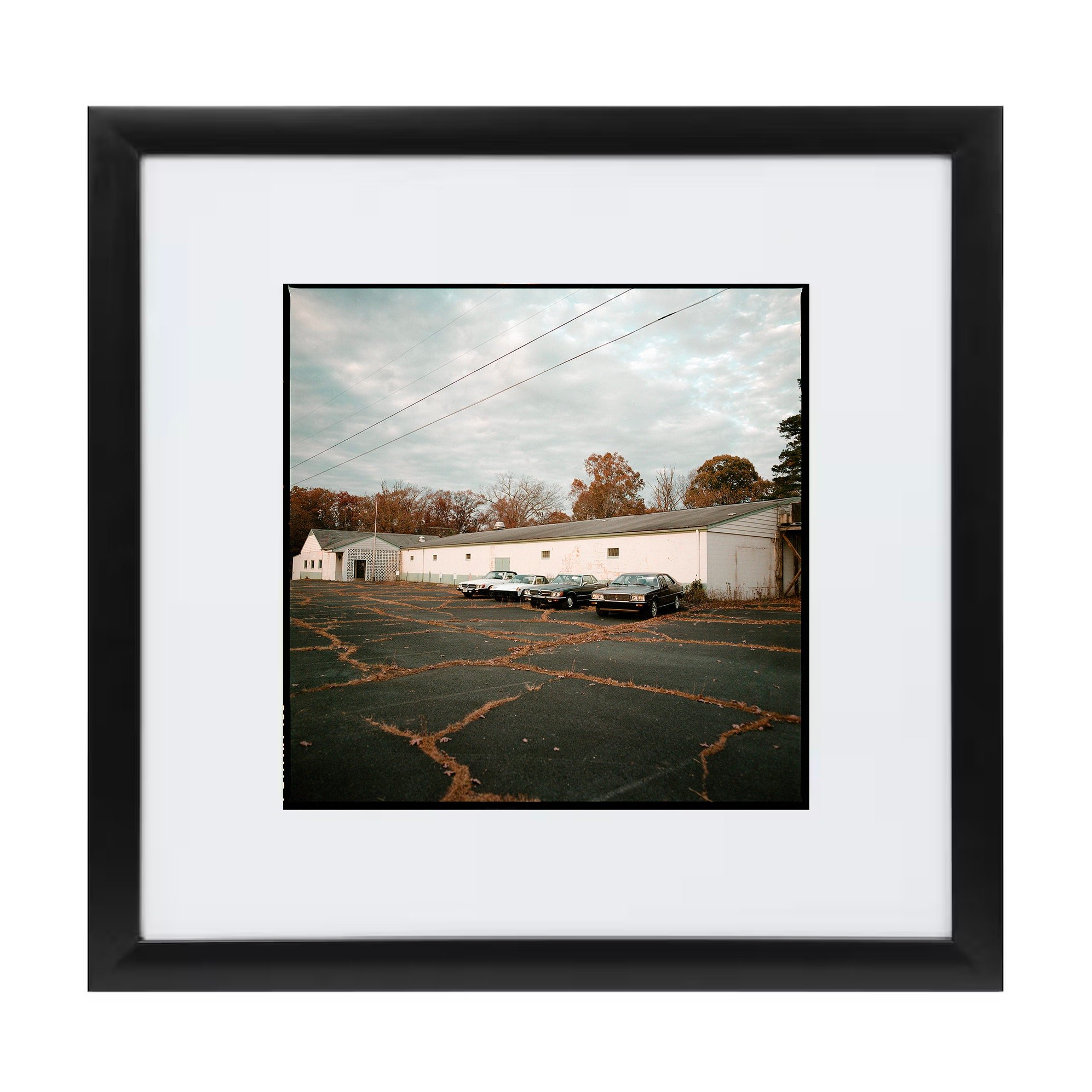 https://i.etsystatic.com/50767298/r/il/747aaa/5810553140/il_fullxfull.5810553140_jbiw.jpg