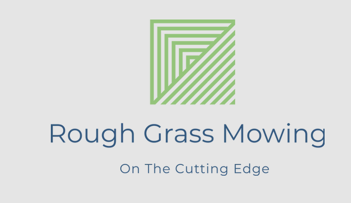 Screen Shot 2020-12-08 at 1.49.11 PM.png