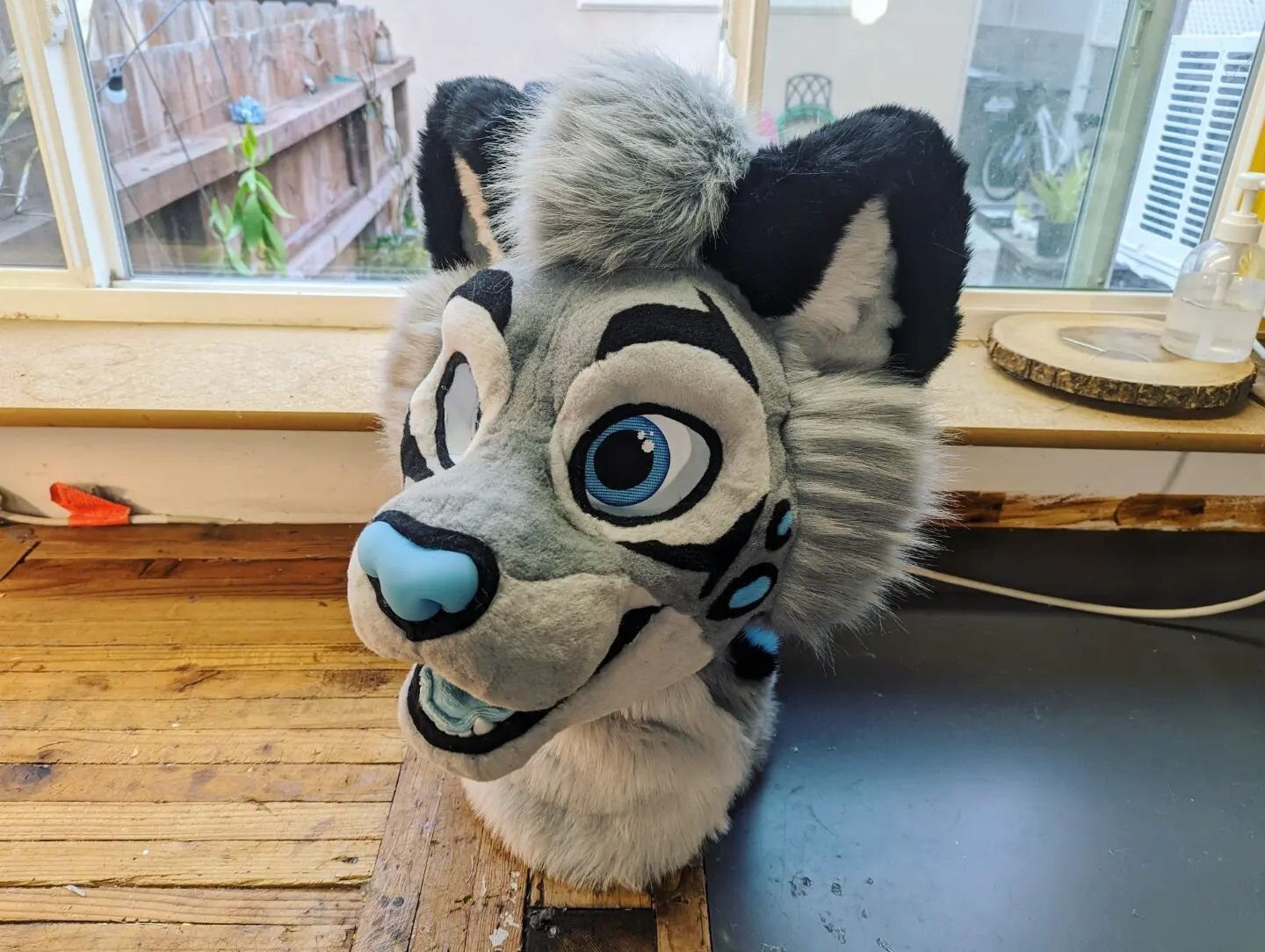 Everyone say hello to Mihlo the Snow Leopard! ❄️😺 

I'm excited to start working on the bodysuit for this one, there's going SO many rosettes!

Headbase by @kawanii_the_manokit

#furryfandom #furry #fursuitmaker #fursuitmaking #furryphoto #fursuitma