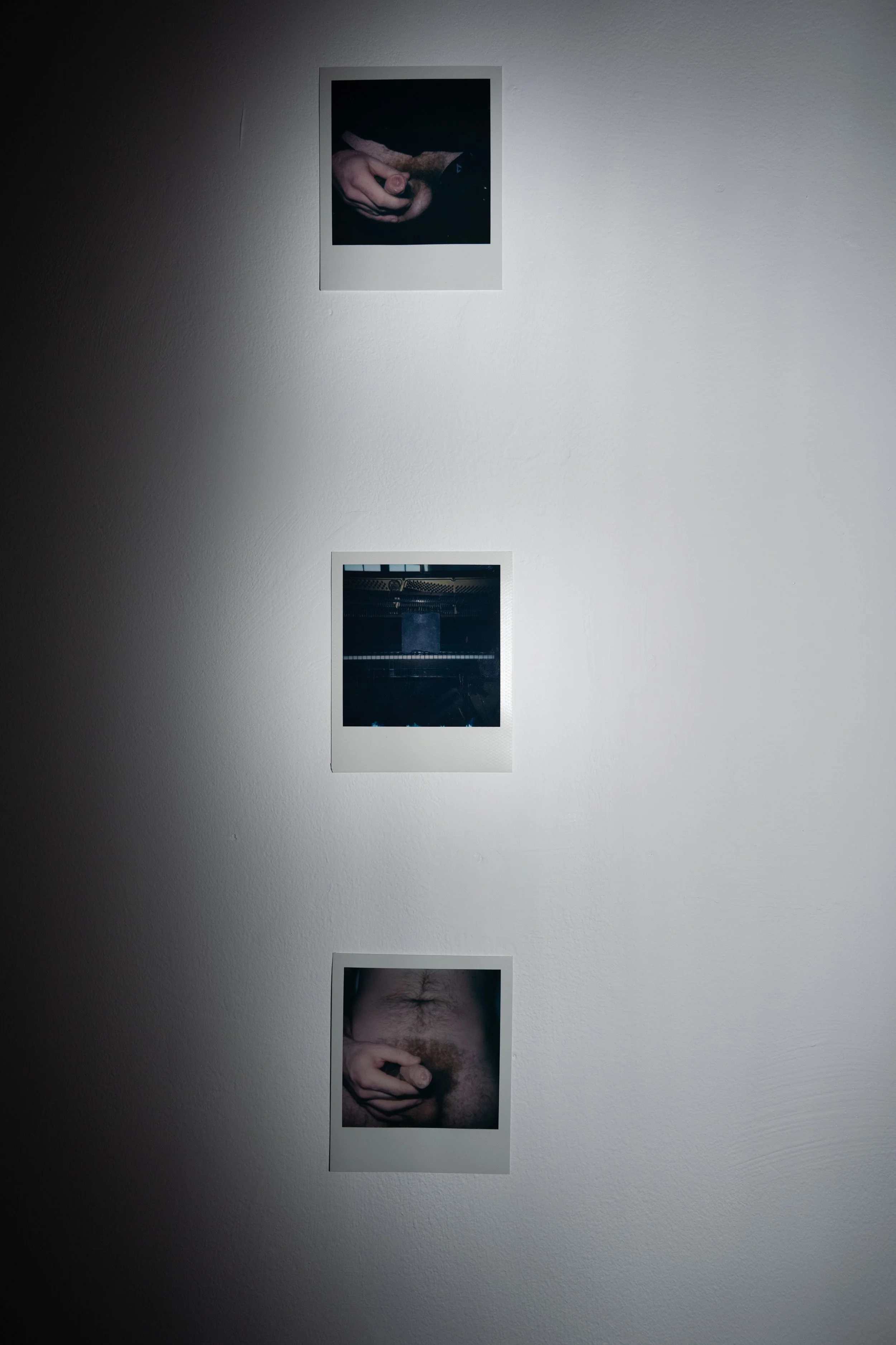 ARRANGEMENT WITH POLAROIDS 220251021 (10).jpg