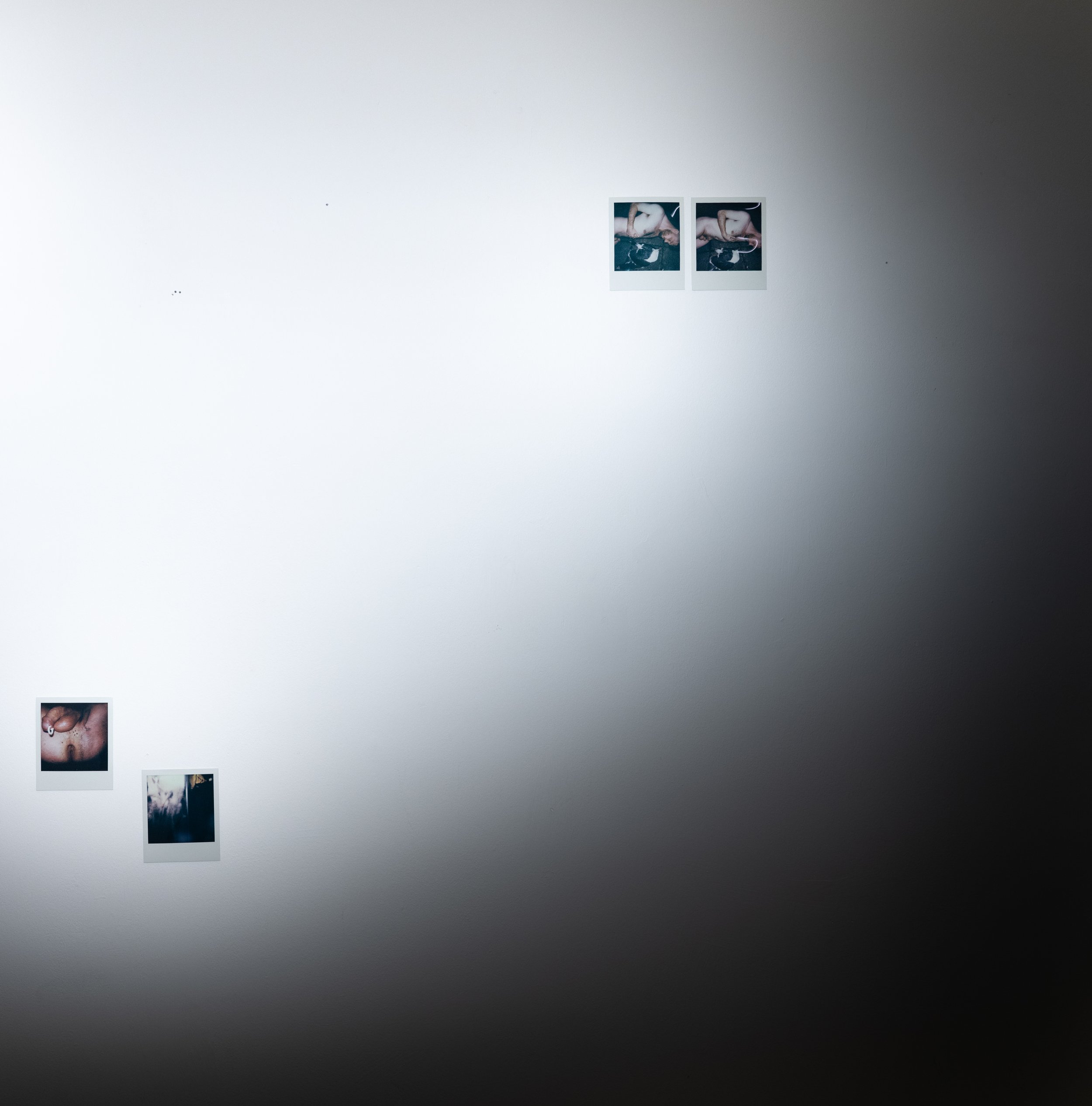 ARRANGEMENT WITH POLAROIDS 220251021 (14).jpg