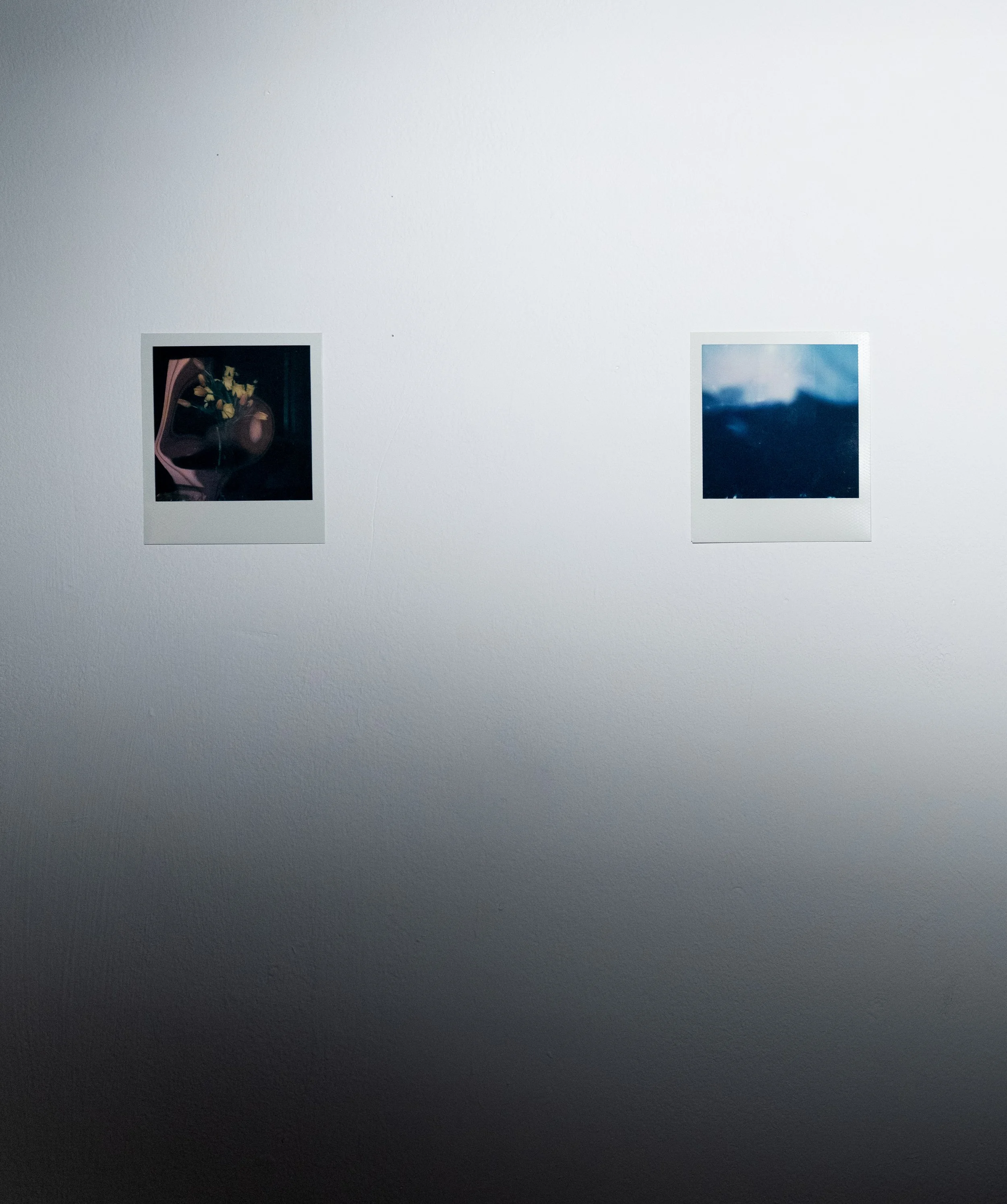 ARRANGEMENT WITH POLAROIDS 220251021 (5).jpg