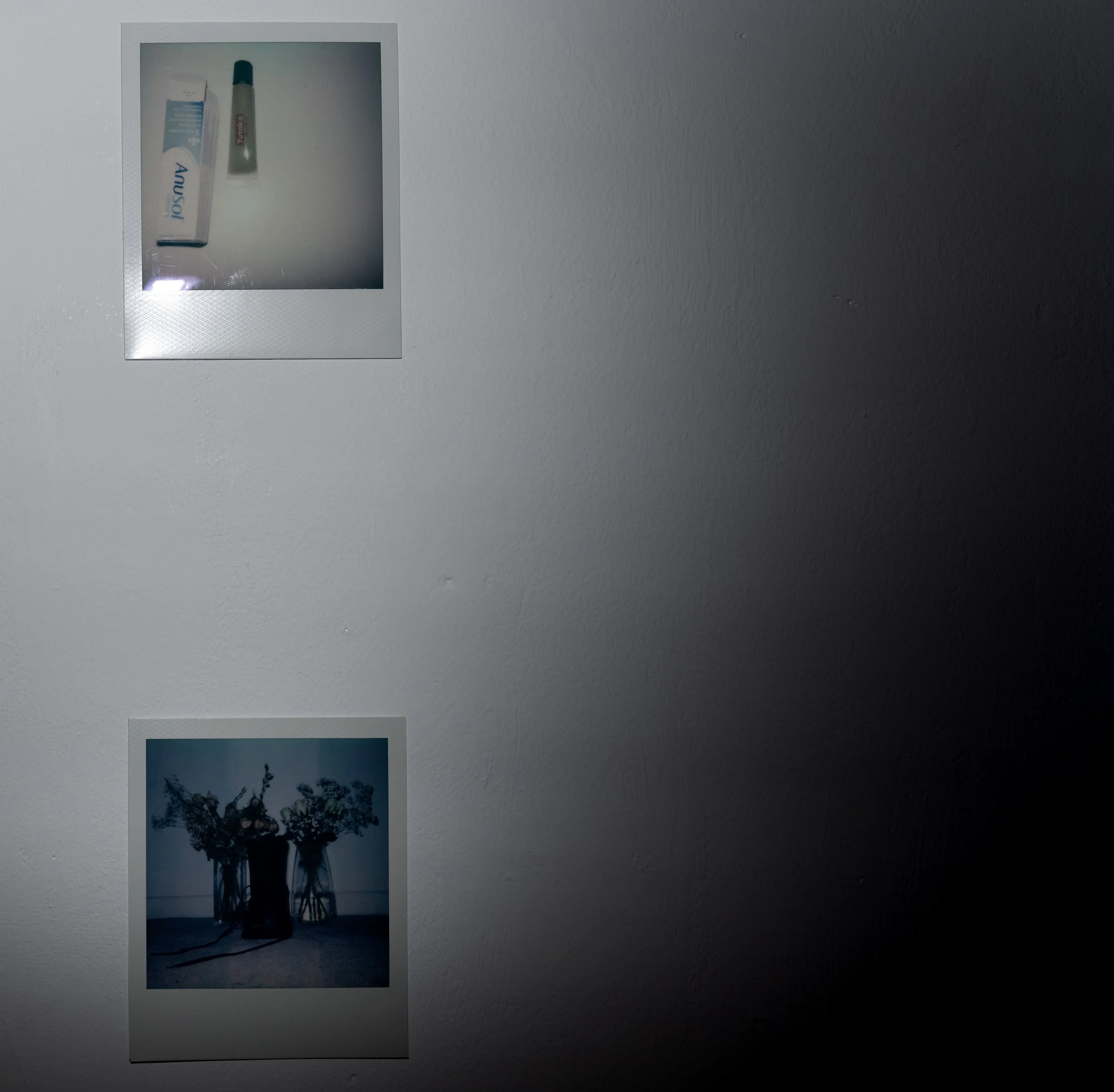 ARRANGEMENT WITH POLAROIDS 220251021 (11).jpg