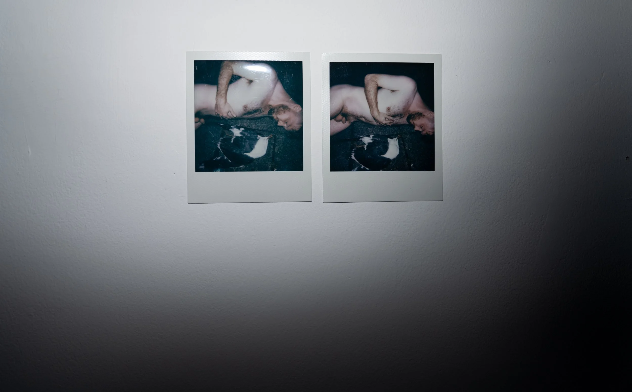 ARRANGEMENT WITH POLAROIDS 220251021 (15).jpg