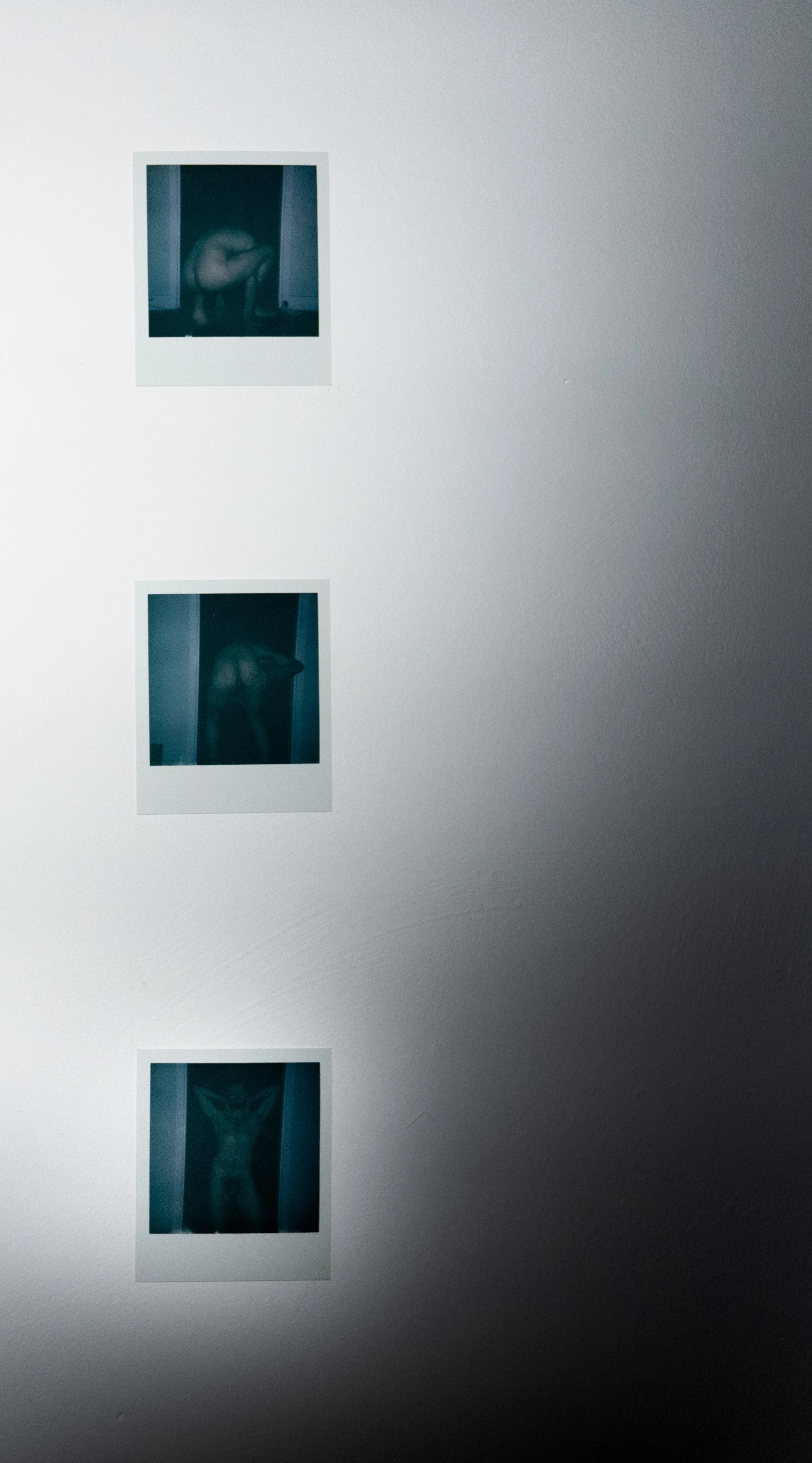 ARRANGEMENT WITH POLAROIDS 220251021 (3).jpg