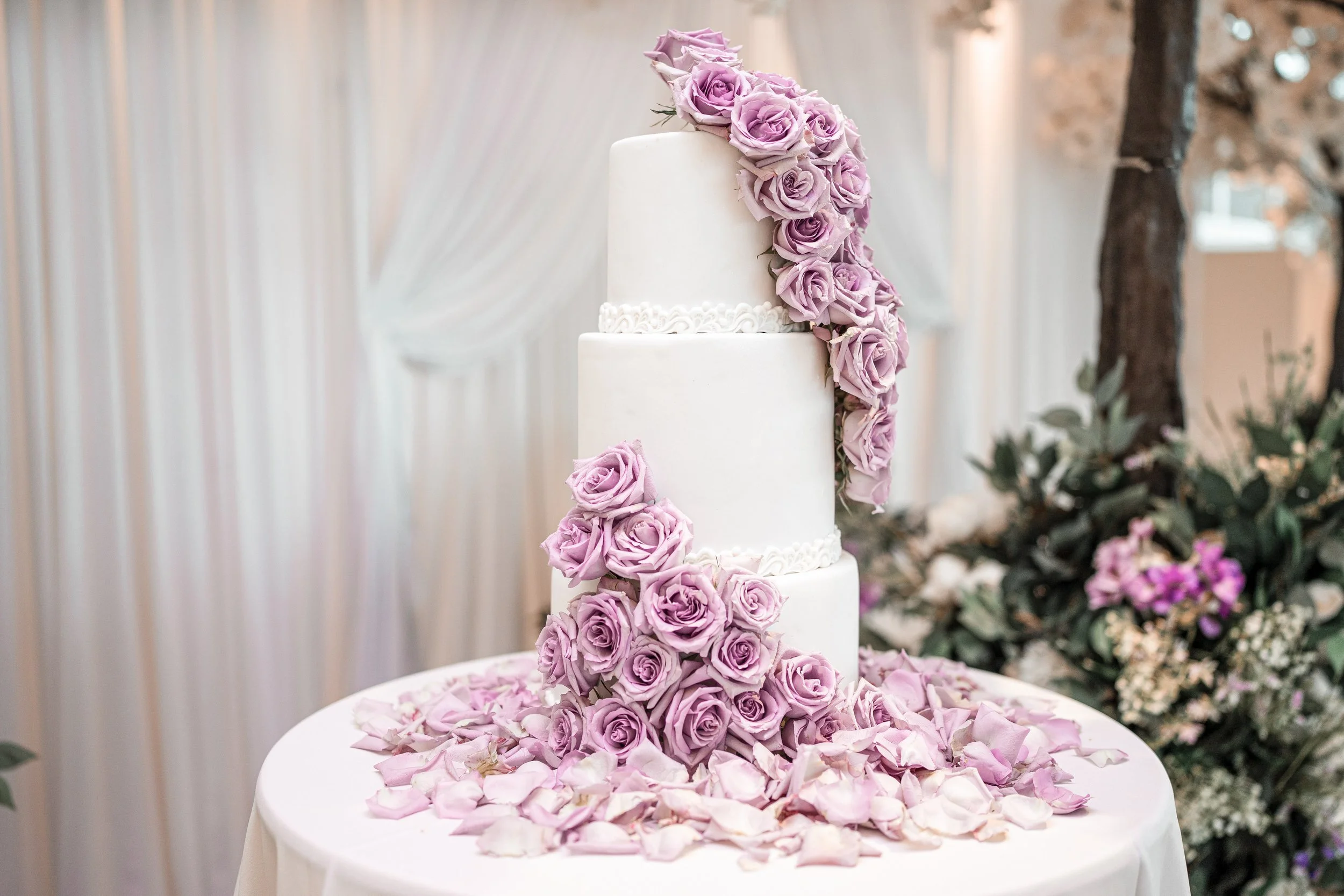 Birthday-Quince-Photographer-Tampa-27.jpg