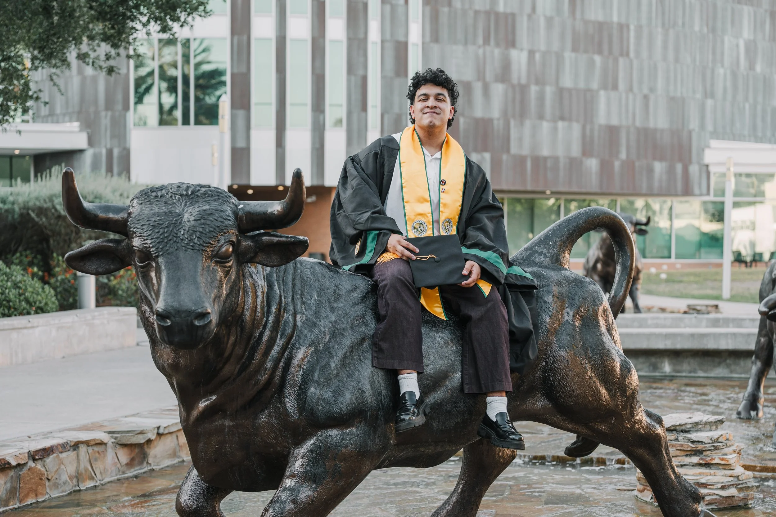 A young man in graduation attire sitting on a bronze bull statue outside a modern building.