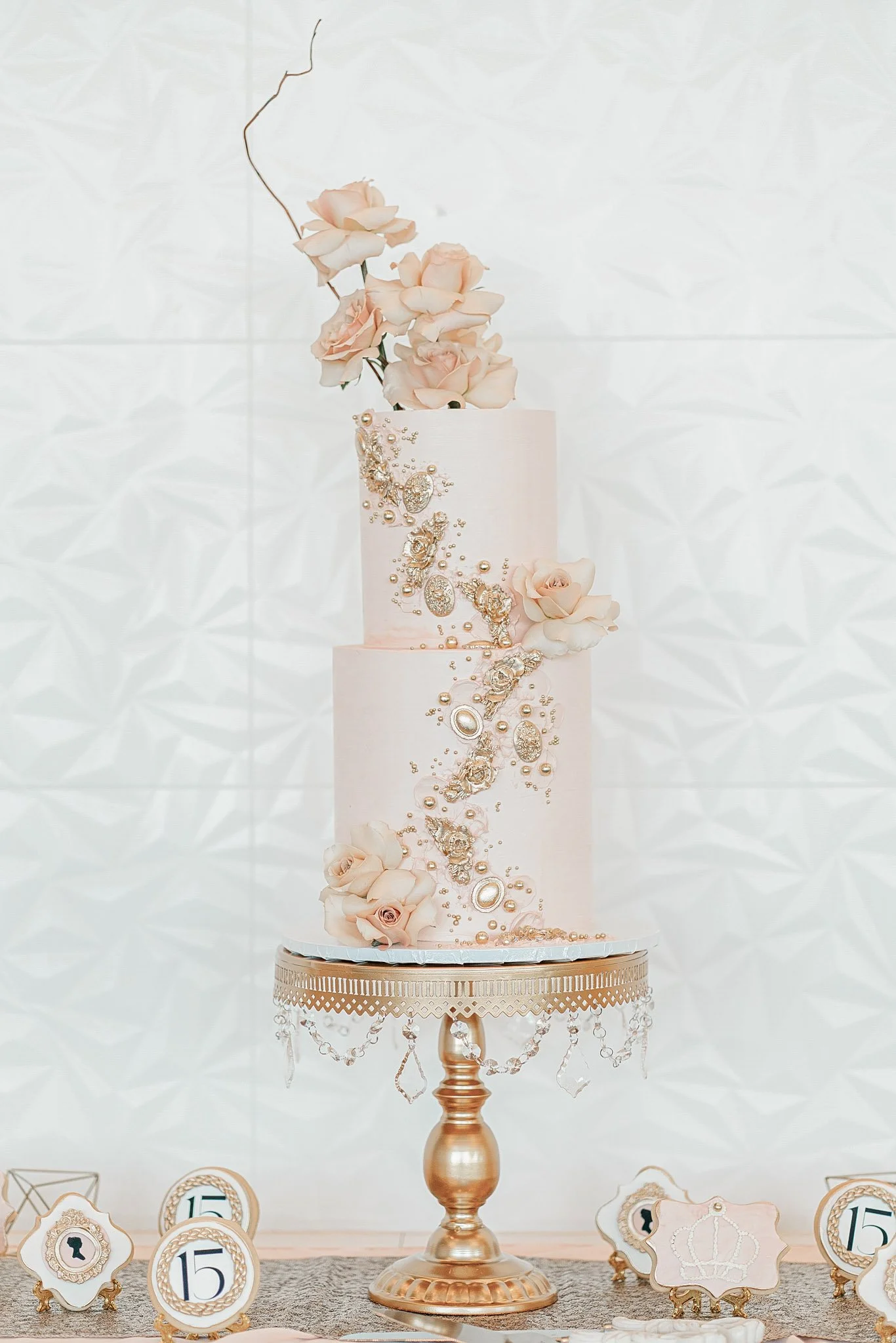 Birthday-Quince-Photographer-Tampa-13.jpg