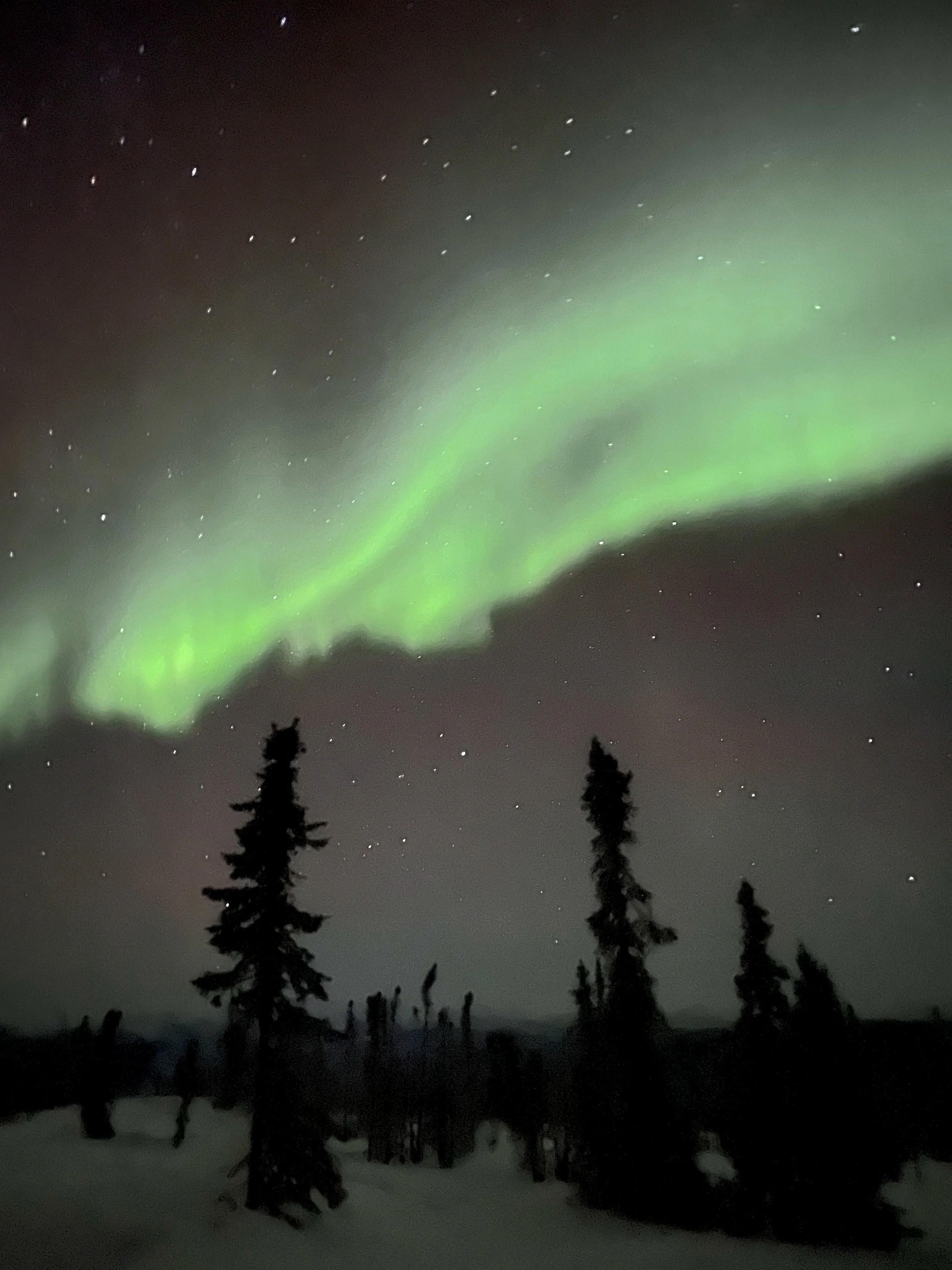 Top Things to Do in Fairbanks, Alaska
