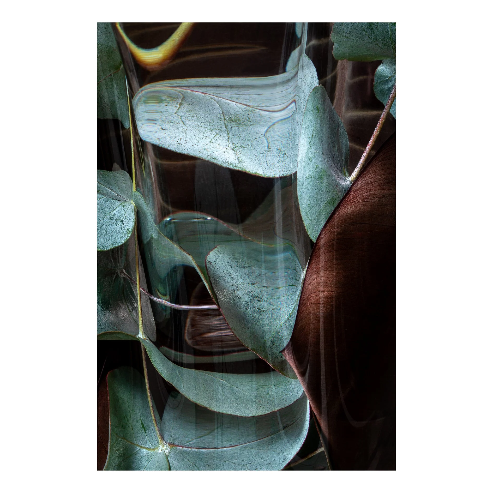 Timbre Fugue 03