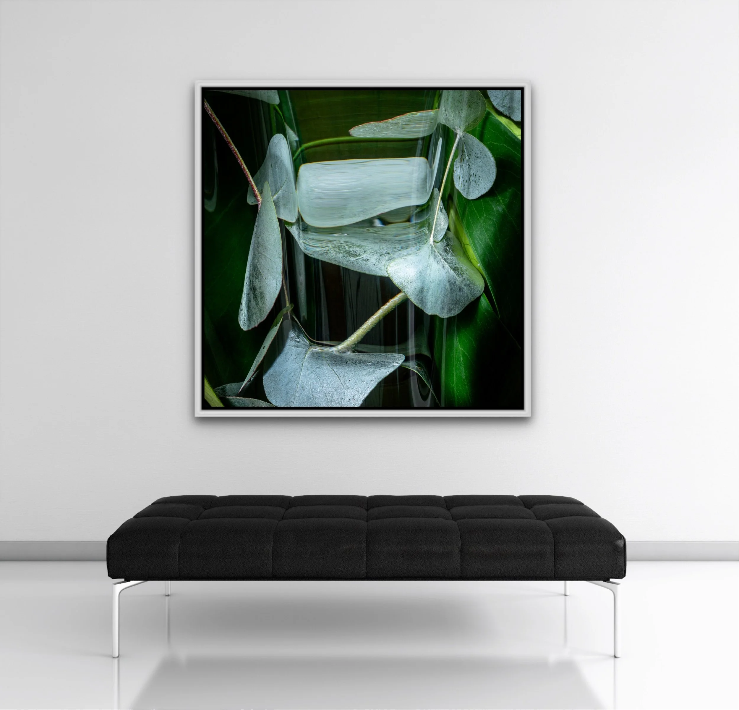 A modern black velvet sofa with a white metal frame in a minimalist white room, with a large framed botanical photograph of green leaves hanging above it.