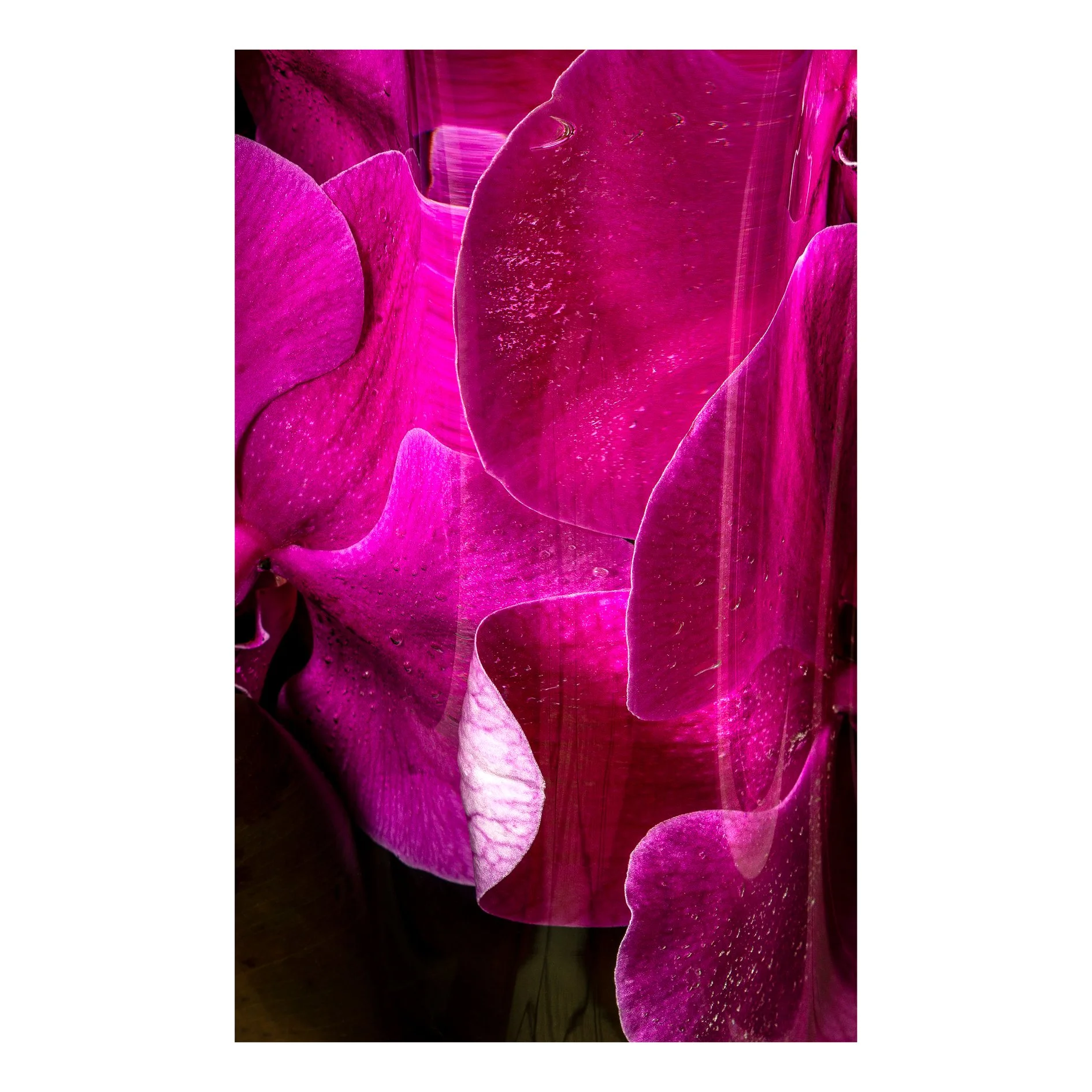 Chromaticism 01