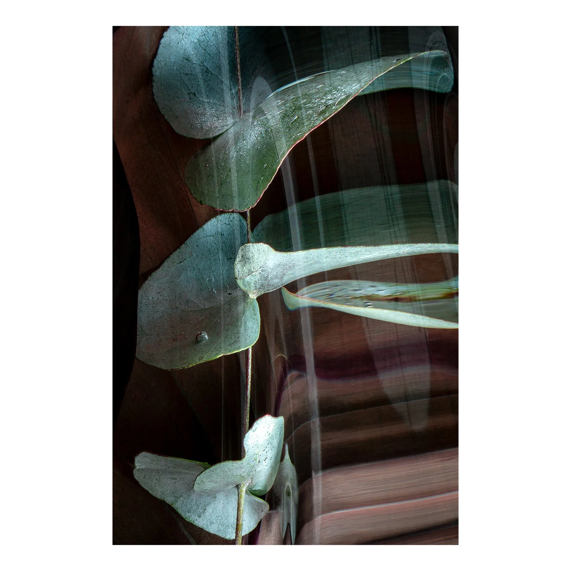 Timbre Fugue 01