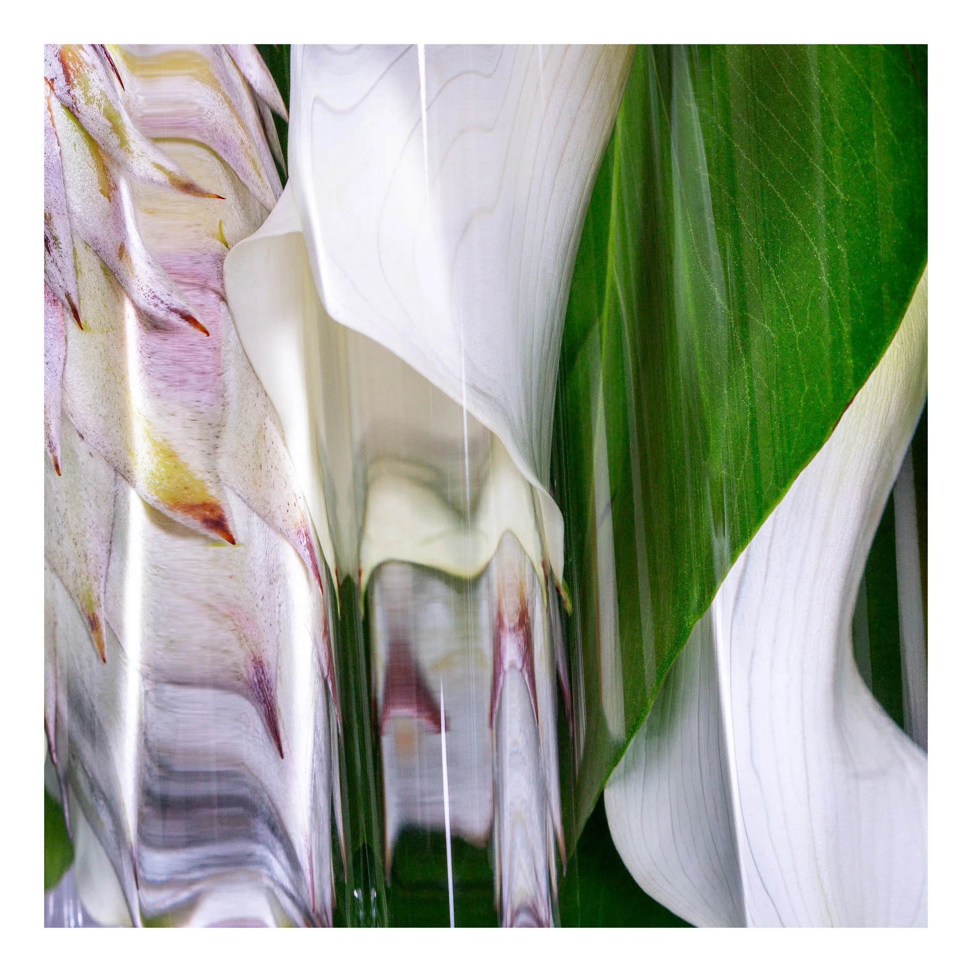 Reverie Étude 01
