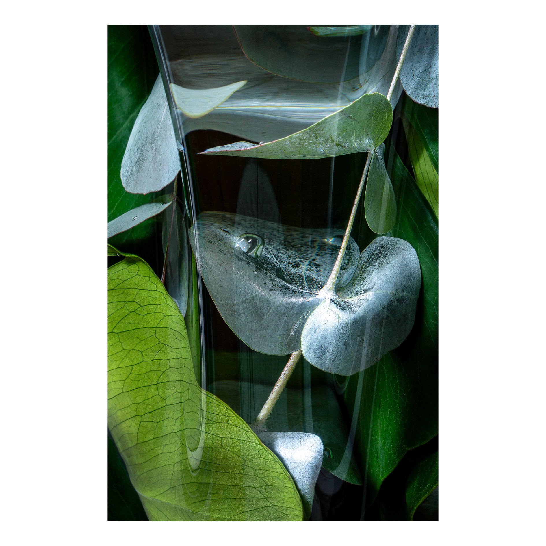 Verdant Fugue 04