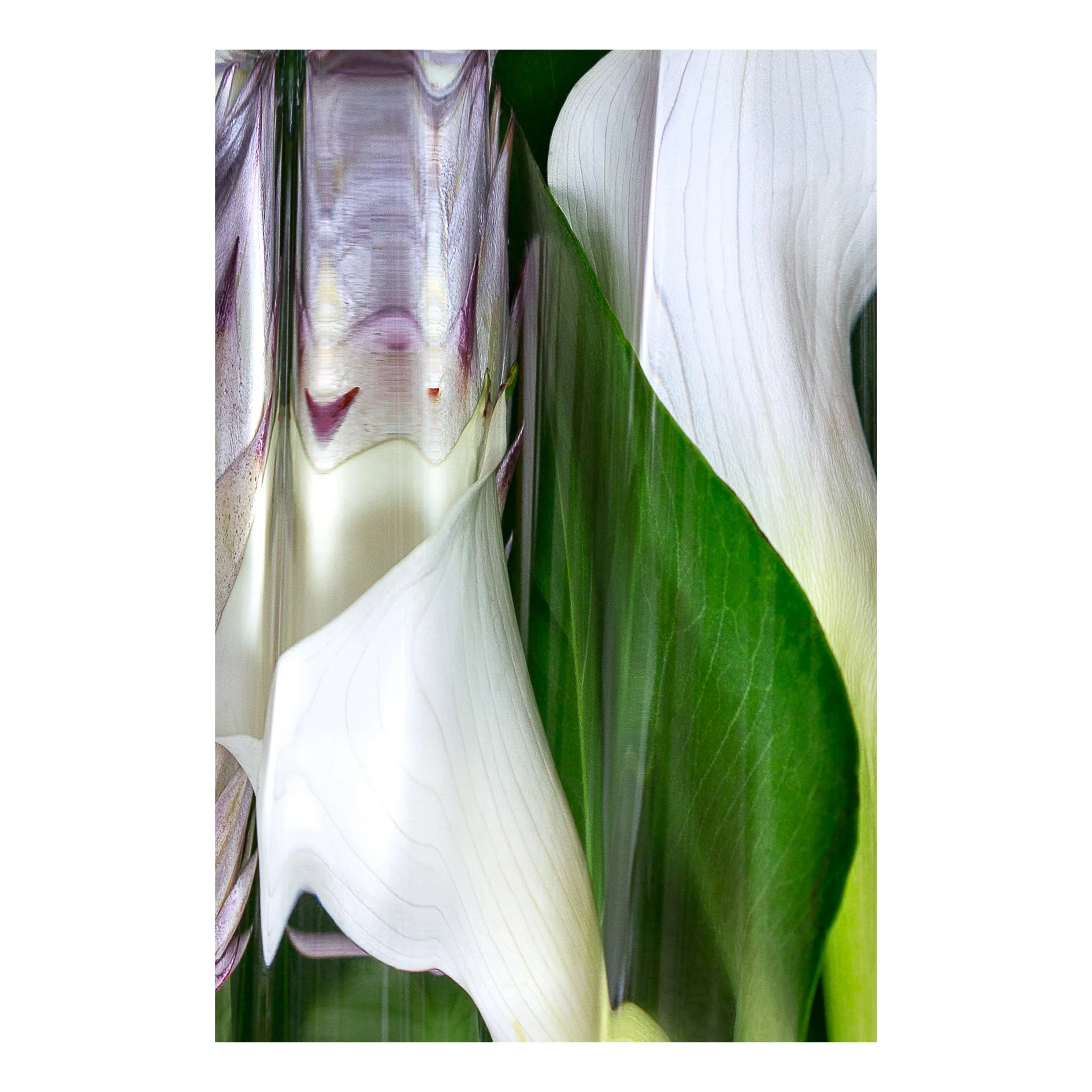 Reverie Etude 02