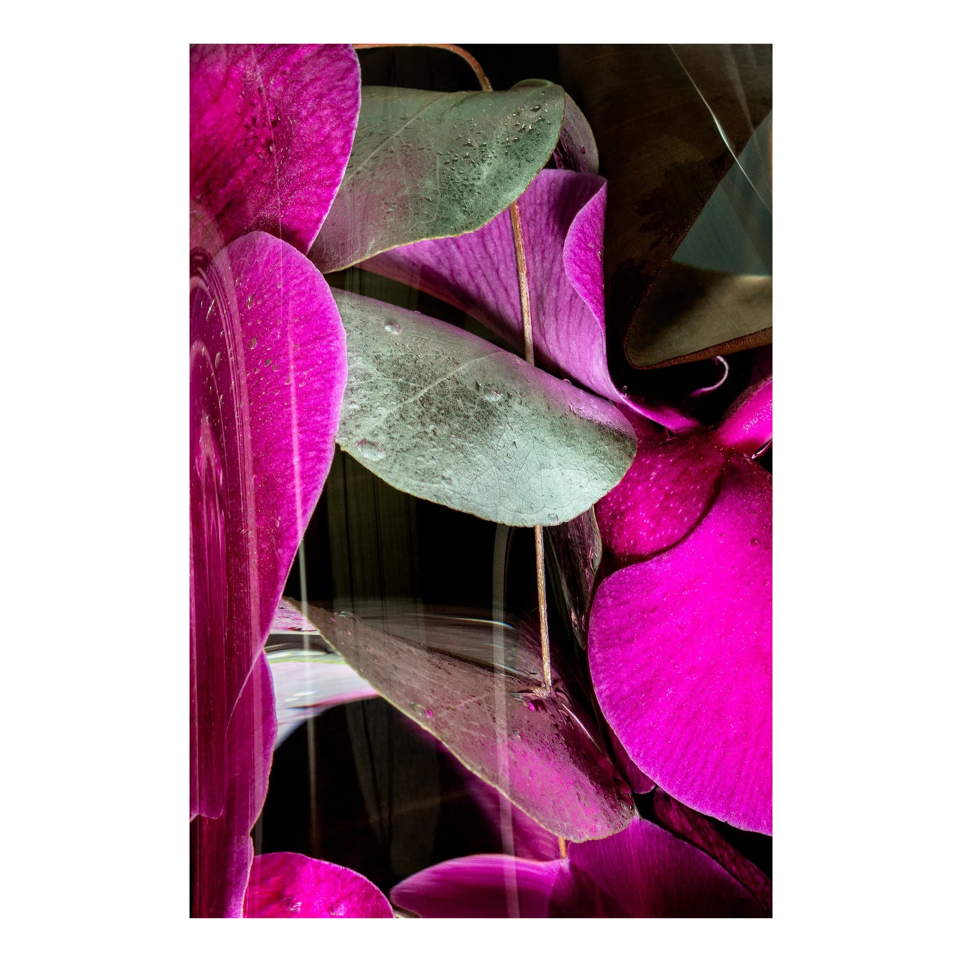 Chromaticism 04