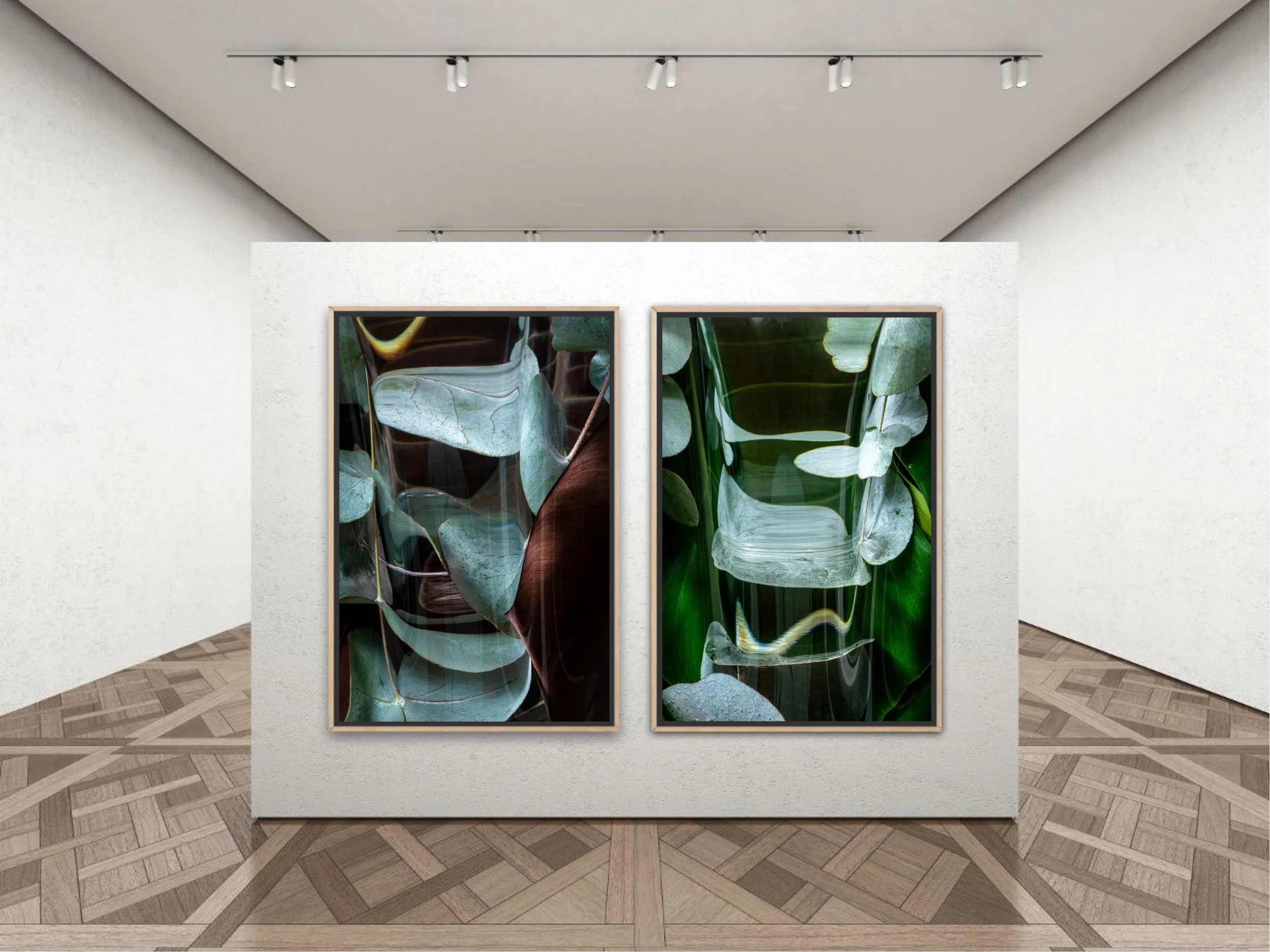 Two framed botanical photographs of green leaves hanging on a white gallery wall, with a sloped ceiling and wooden floor.