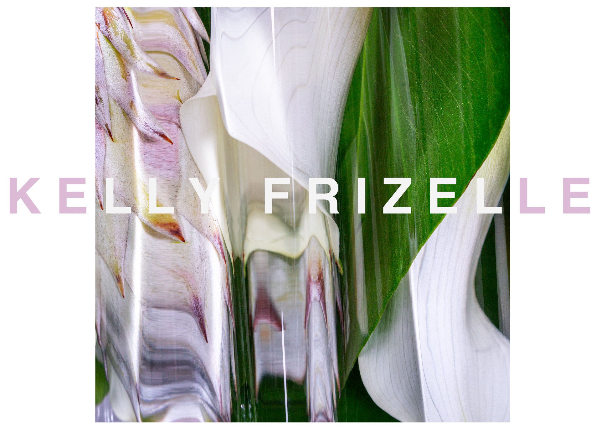 Close-up of an abstract floral design with large white and green leaves and petal-like structures, with the name 'KELLY FRIZELLE' overlaid in large purple and white letters.